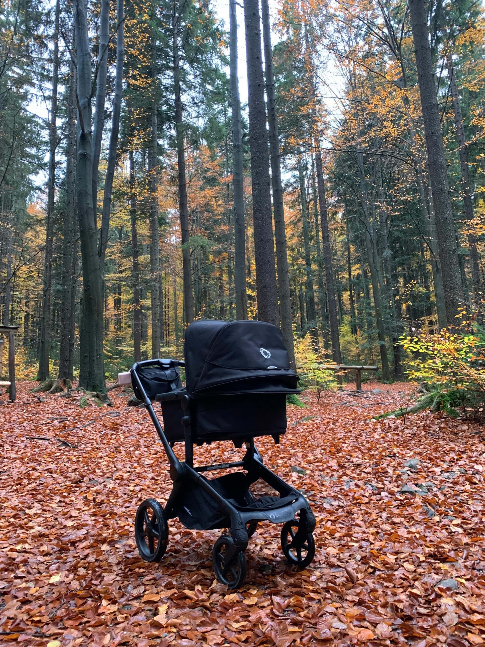 HIMBEER Testbericht: Der Bugaboo Fox 5 Renew im Praxistest – mit Baby und Geschwisterkind durch den urbanen Großstadtalltag