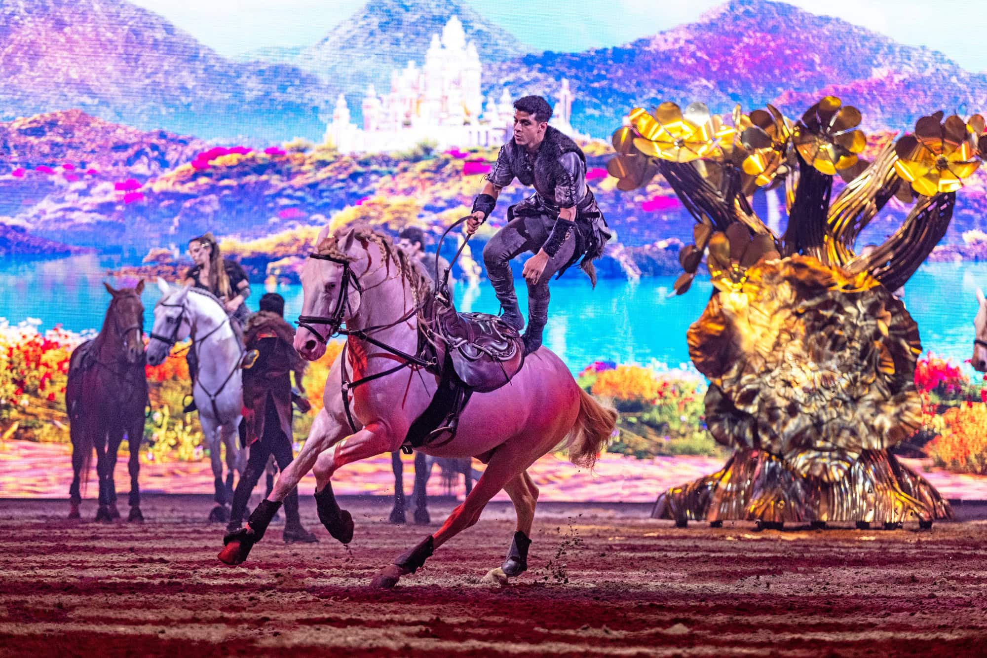 Tor Zur Anderswelt Gs Reitakrobatikc Cavalluna