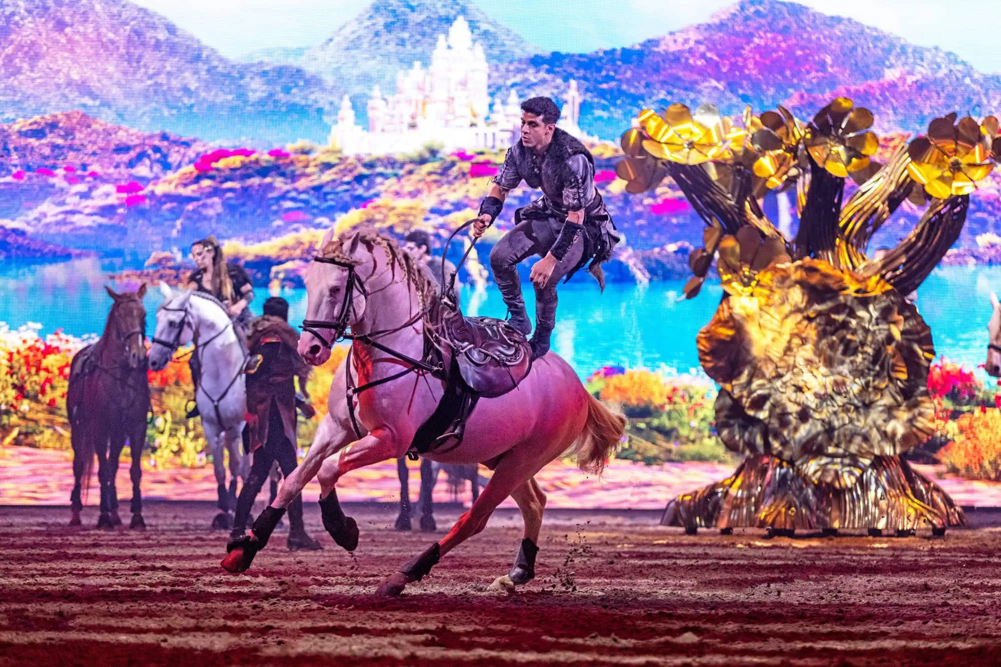 Tor Zur Anderswelt Gs Reitakrobatikc Cavalluna