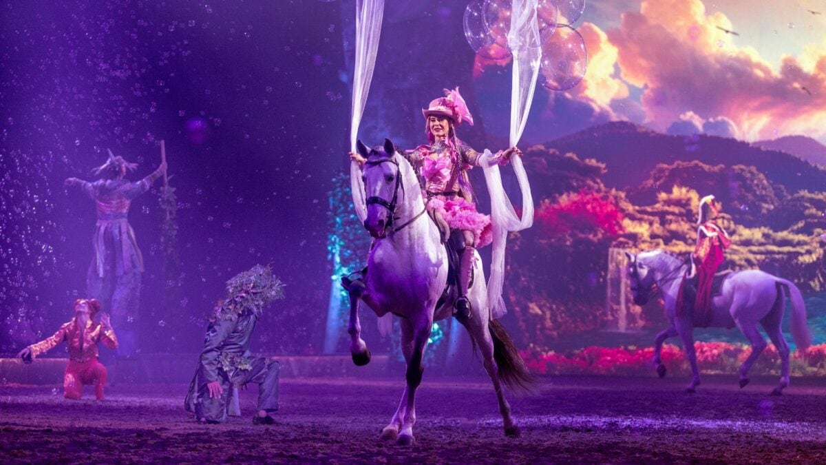 Cavalluna Pferdeshow Tor Zur Anderswelt Adventskalender // Himbeer 2025