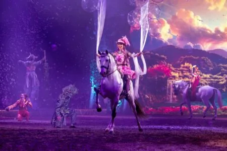 Cavalluna Pferdeshow Tor Zur Anderswelt Adventskalender // Himbeer 2025