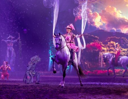 Cavalluna Pferdeshow Tor Zur Anderswelt Adventskalender // Himbeer 2025