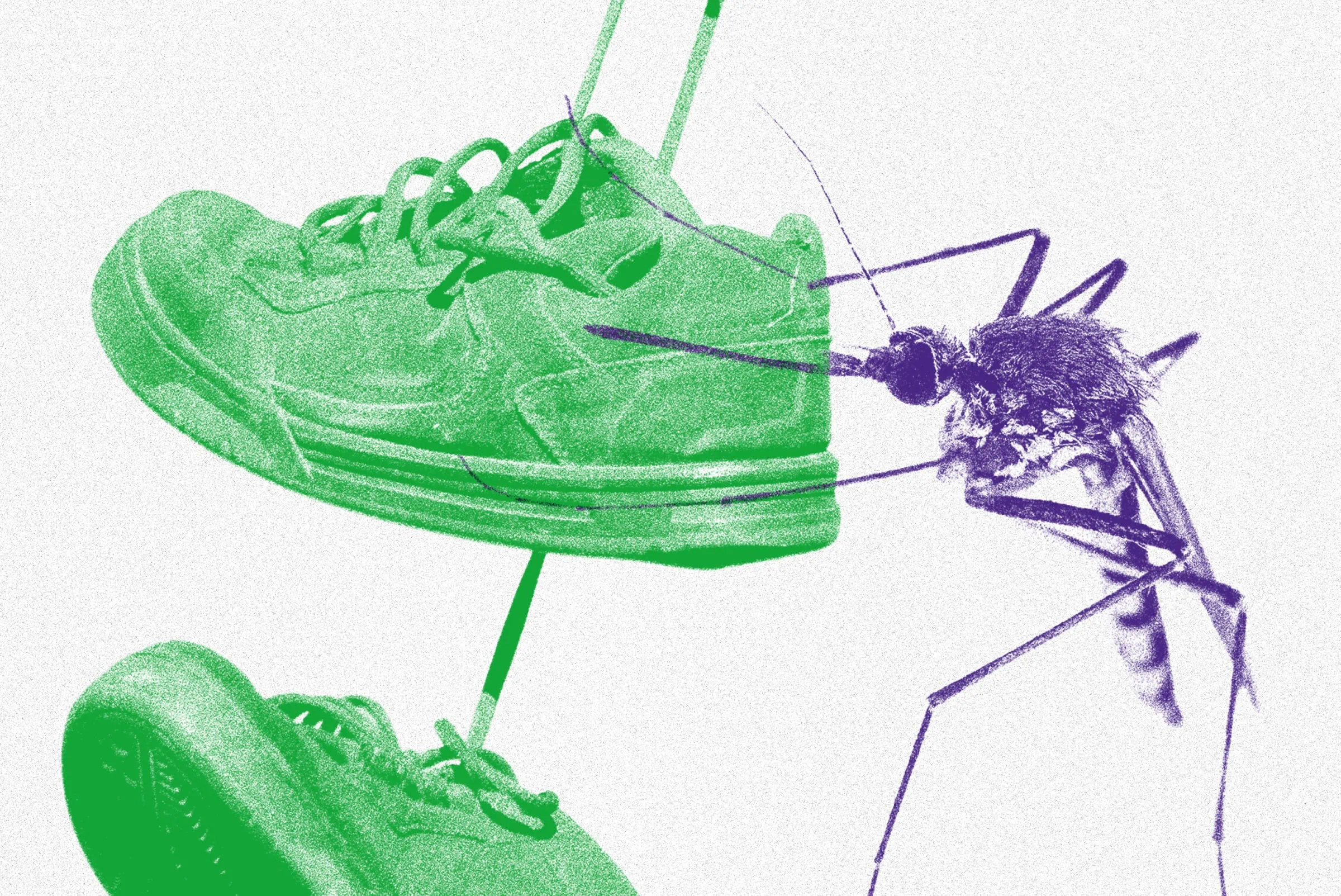 Premiere „Wolf“, Stück Für Jugendliche Im Theater An Der Parkaue // Himbeer