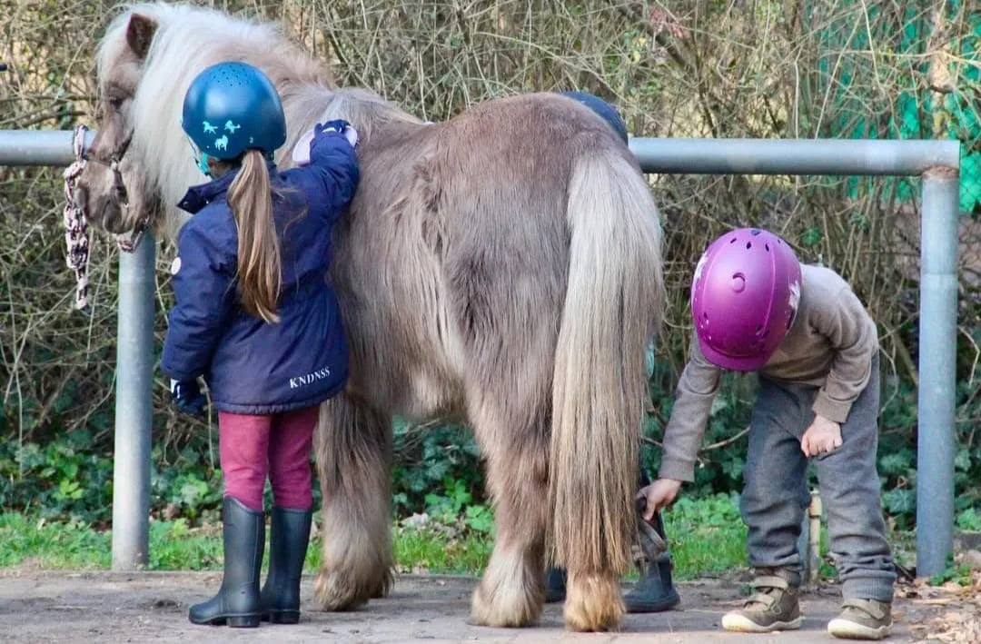 Winterlicher Pferdezauber Auf Dem Schäferhof – Schnupperstunden Zum Reiten // Himbeer Adventskalender 2025