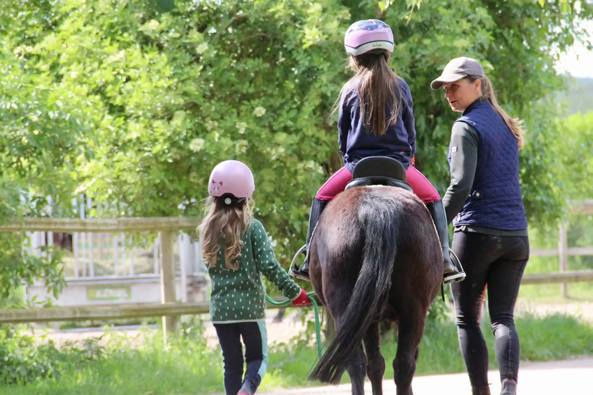 Winterlicher Pferdezauber Auf Dem Schäferhof – Schnupperstunden Zum Reiten // Himbeer Adventskalender 2025