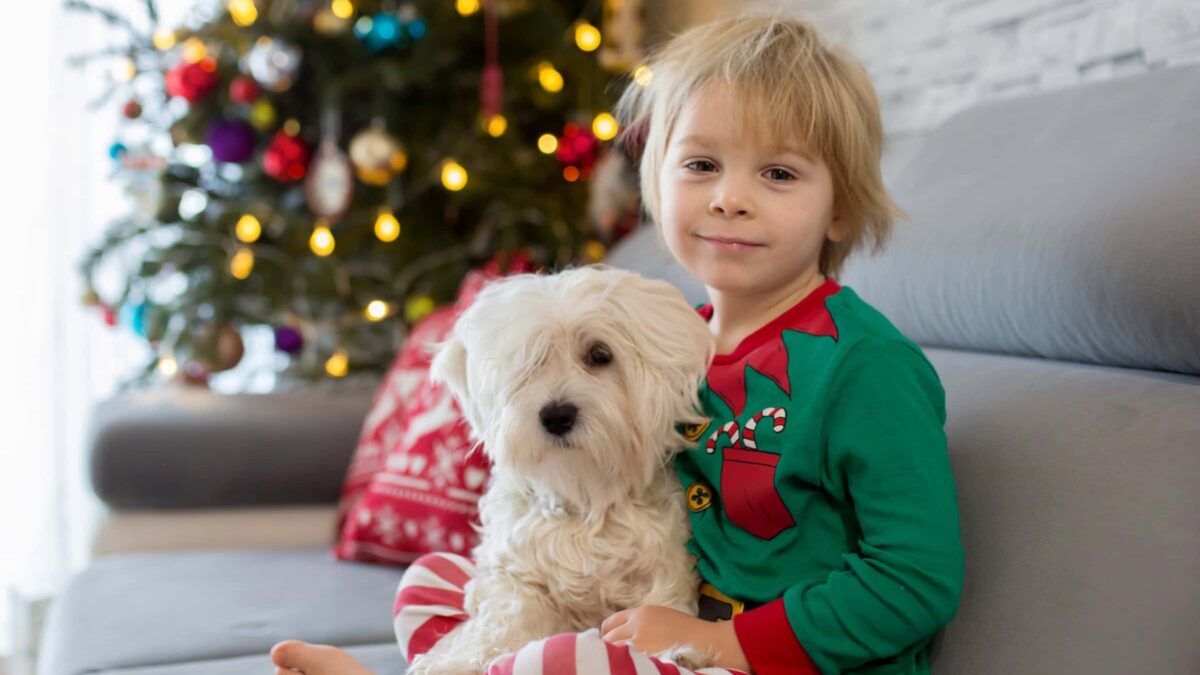 Wochenend-Tipps Mit Kindern In Berlin, Kw 51 // Himbeer