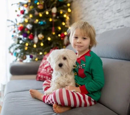 Wochenend-Tipps Mit Kindern In Berlin, Kw 51 // Himbeer