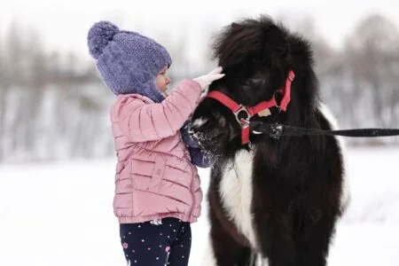 Winterlicher Pferdezauber Auf Dem Schäferhof – Schnupperstunden Zum Reiten // Himbeer Adventskalender 2025