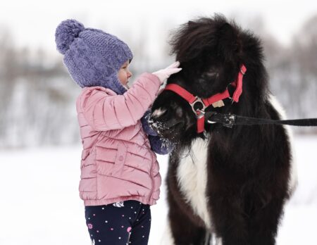 Winterlicher Pferdezauber Auf Dem Schäferhof – Schnupperstunden Zum Reiten // Himbeer Adventskalender 2025