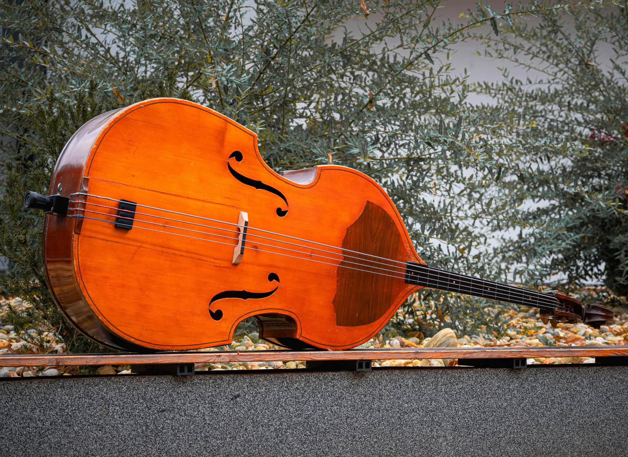 Neujahrskonzert Für Kleinkinder Bei Kleine Lotte // Himbeer