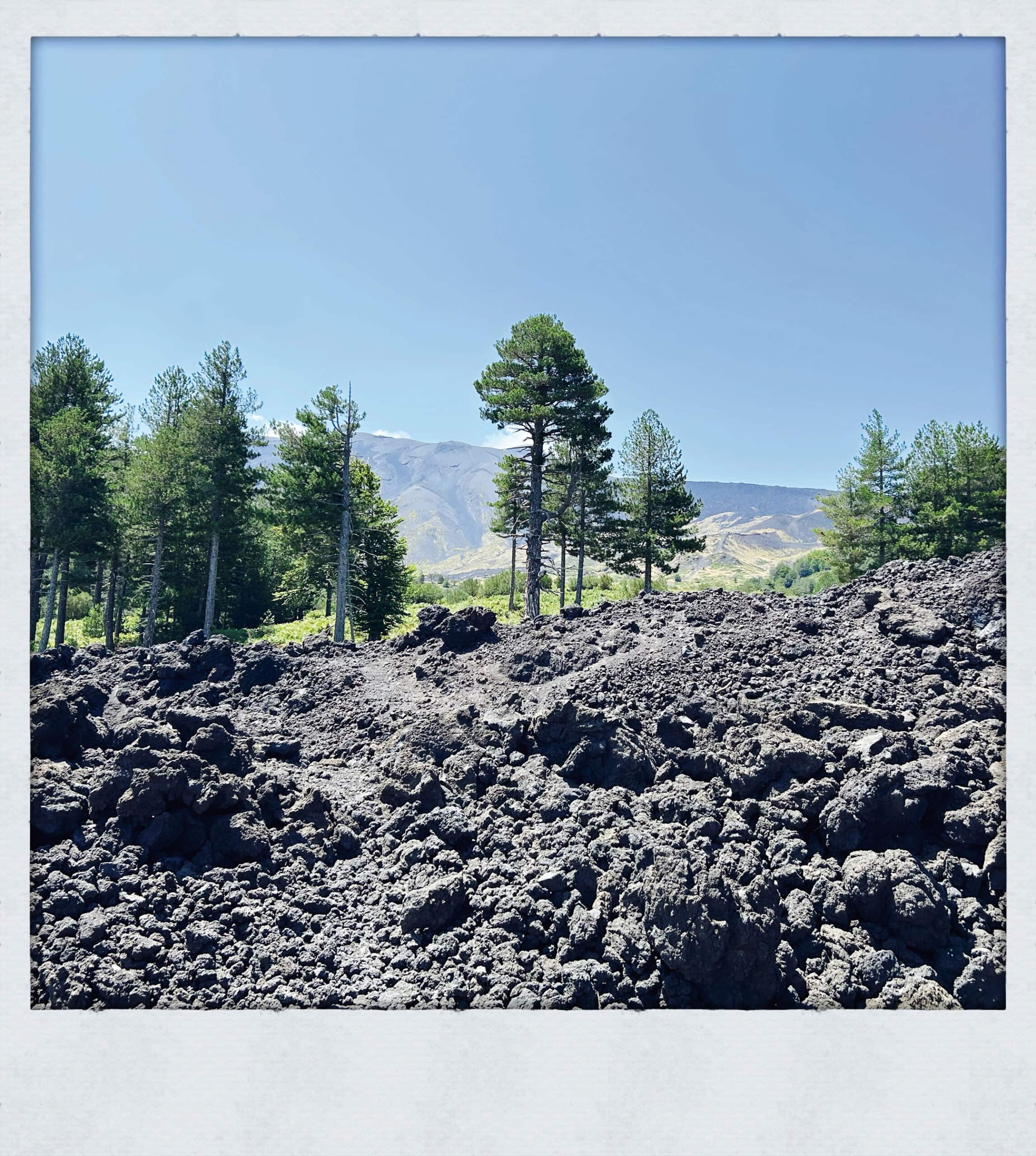 Willkommen im neuen Leben – eine Familie erzählt vom Auswandern nach Sizilien – HIMBEER Titetgeschichte