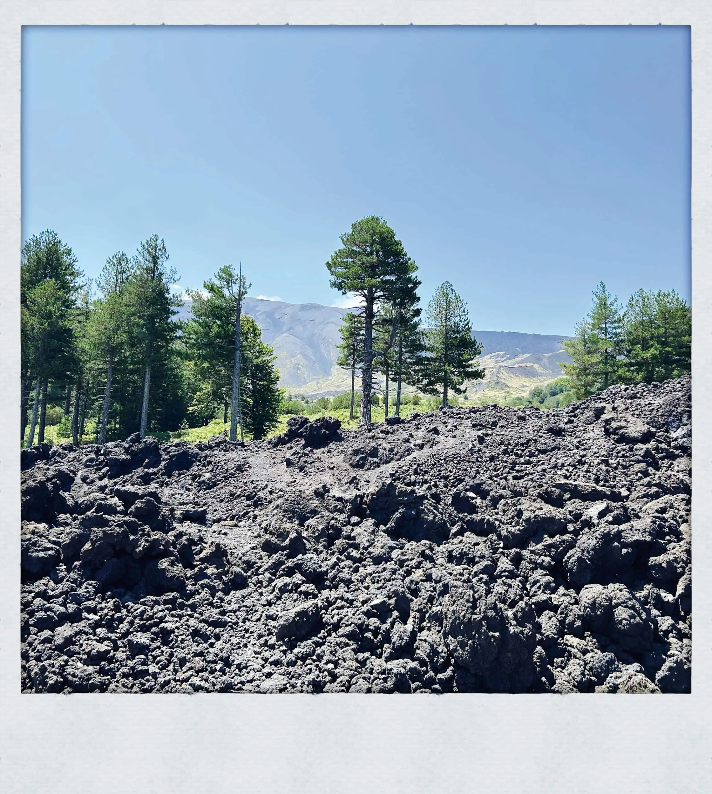 Willkommen Im Neuen Leben – Eine Familie Erzählt Vom Auswandern Nach Sizilien – Himbeer Titetgeschichte