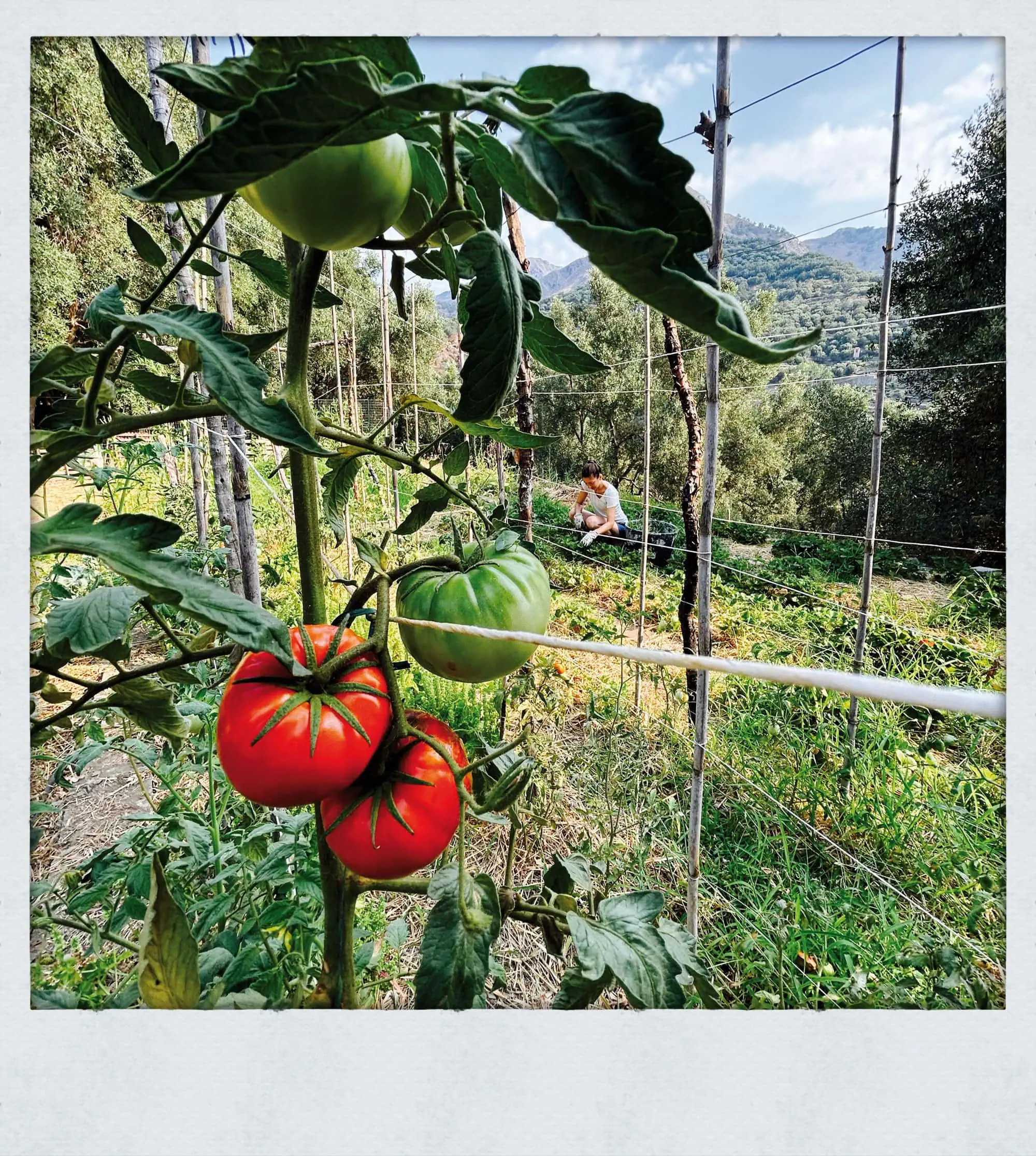 Willkommen Im Neuen Leben – Eine Familie Erzählt Vom Auswandern Nach Sizilien – Himbeer Titetgeschichte