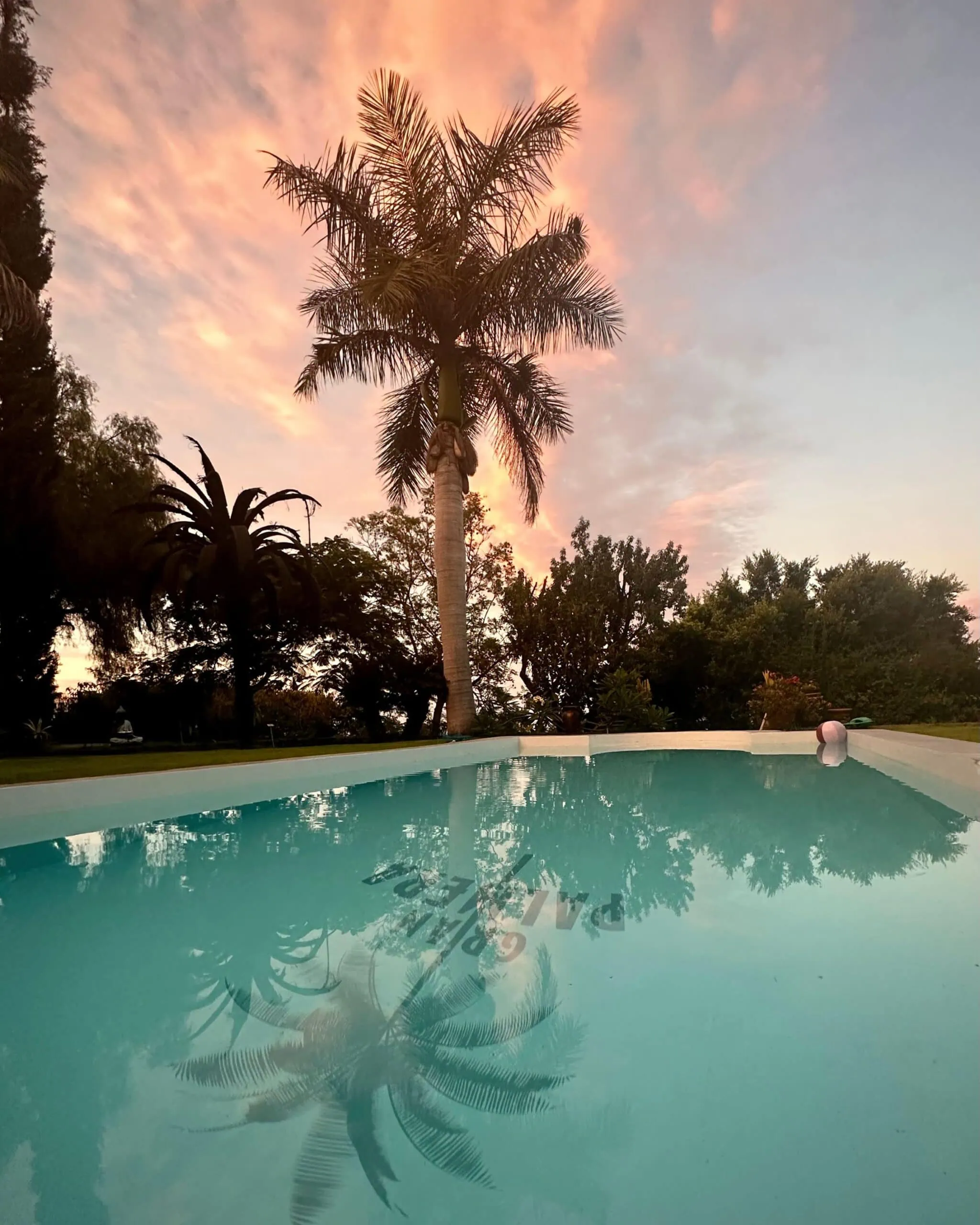 Good Travel-Tipp Für Familien: Gran Villa Palmer Auf La Palma – Wo Sich Palmen Im Pool Spiegeln