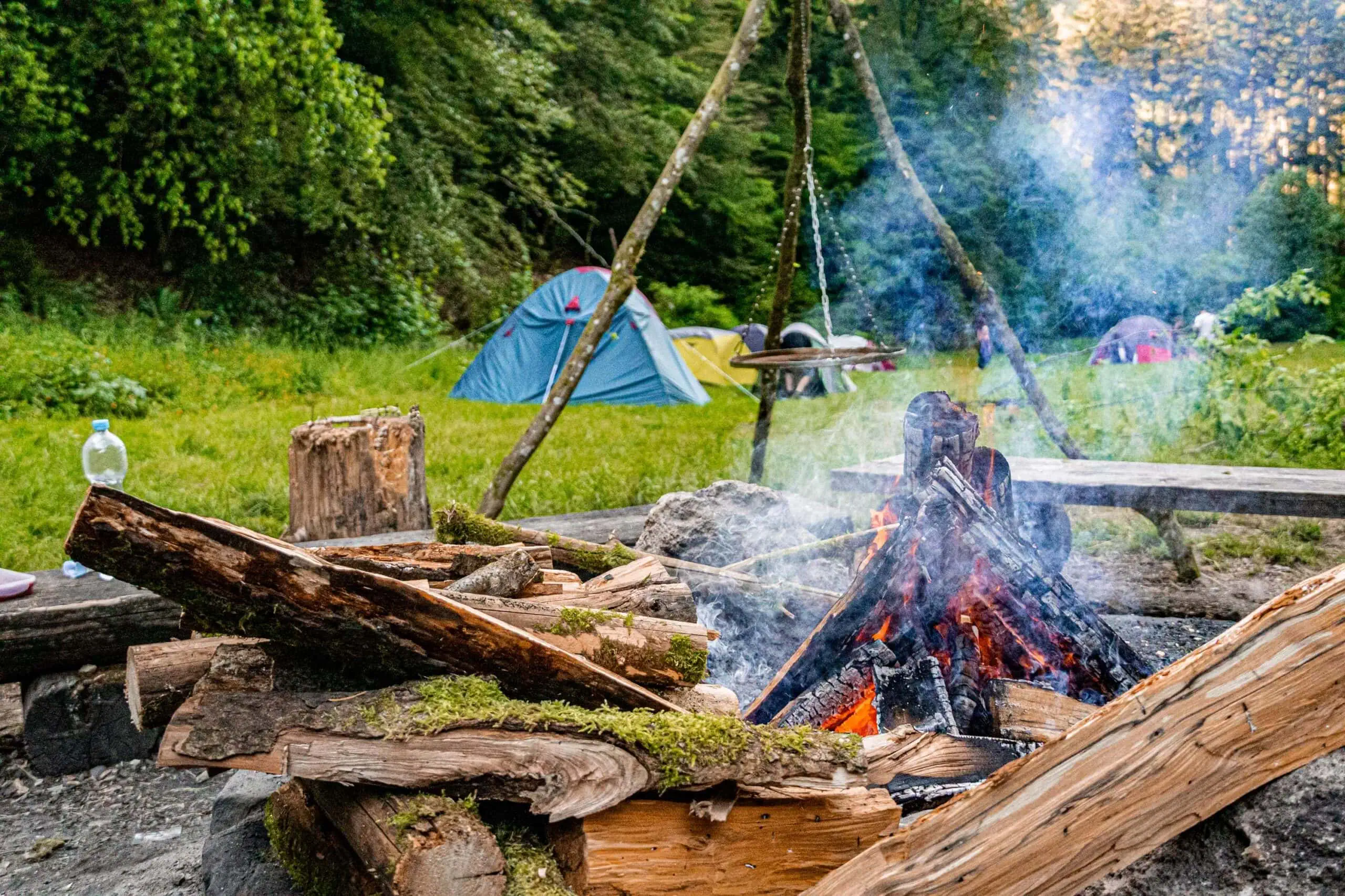 Aventerra: Reisen Und Lernen Mit Herz, Hand Und Kopf // Himbeer
