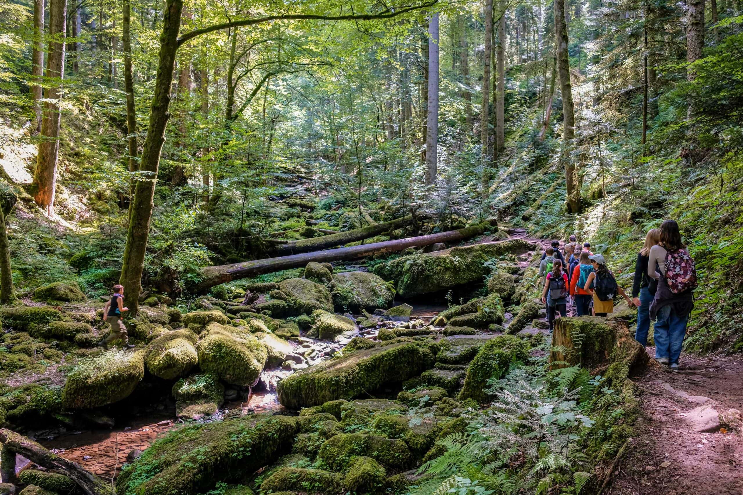 Aventerra – als Gruppe unterwegs // HIMBEER