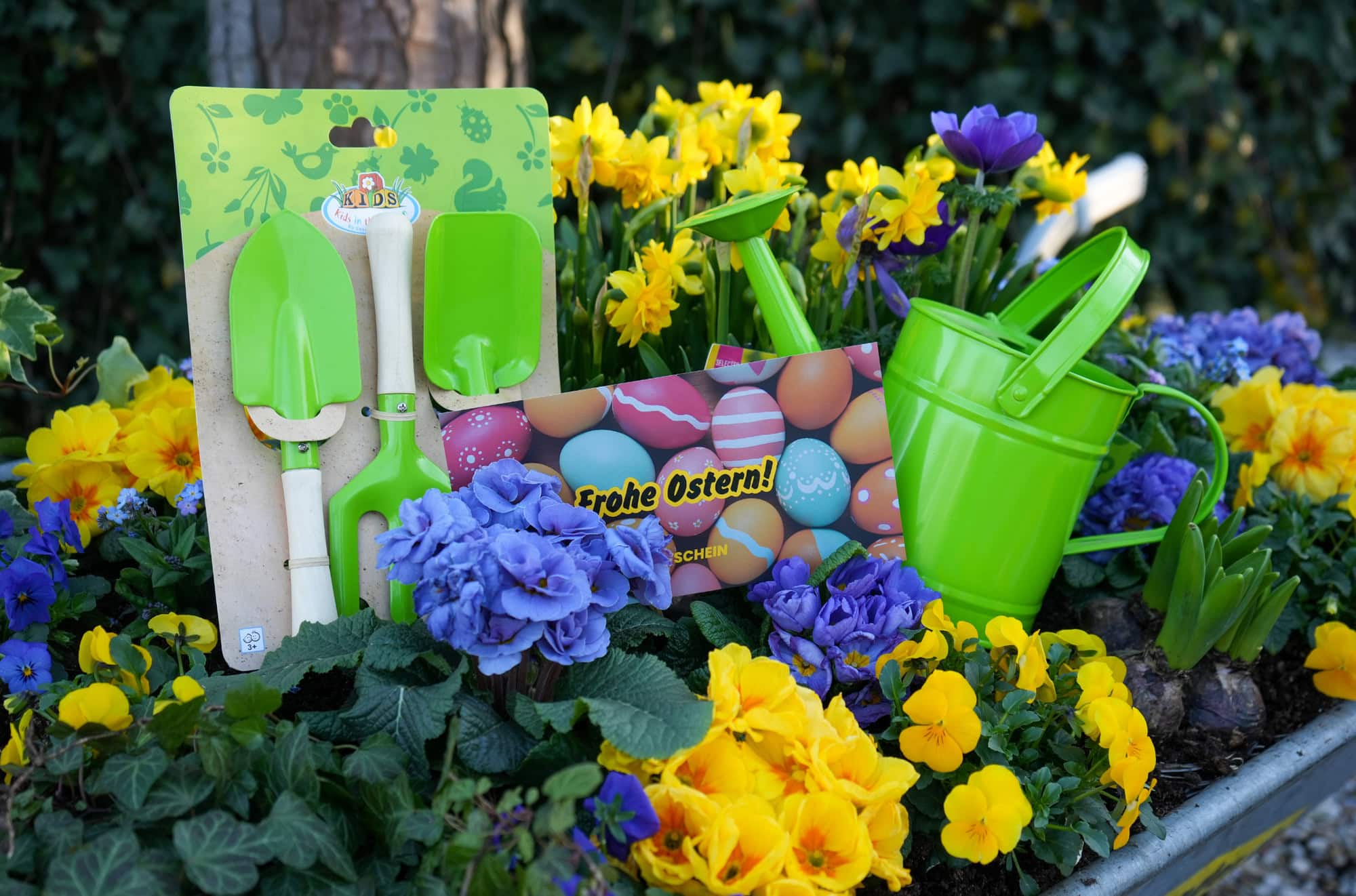 Gartenset Für Kinder Und 50 Euro-Gutschein Für Der Holländer Pflanzencenter Oster-Gewinnspiel // Himbeer