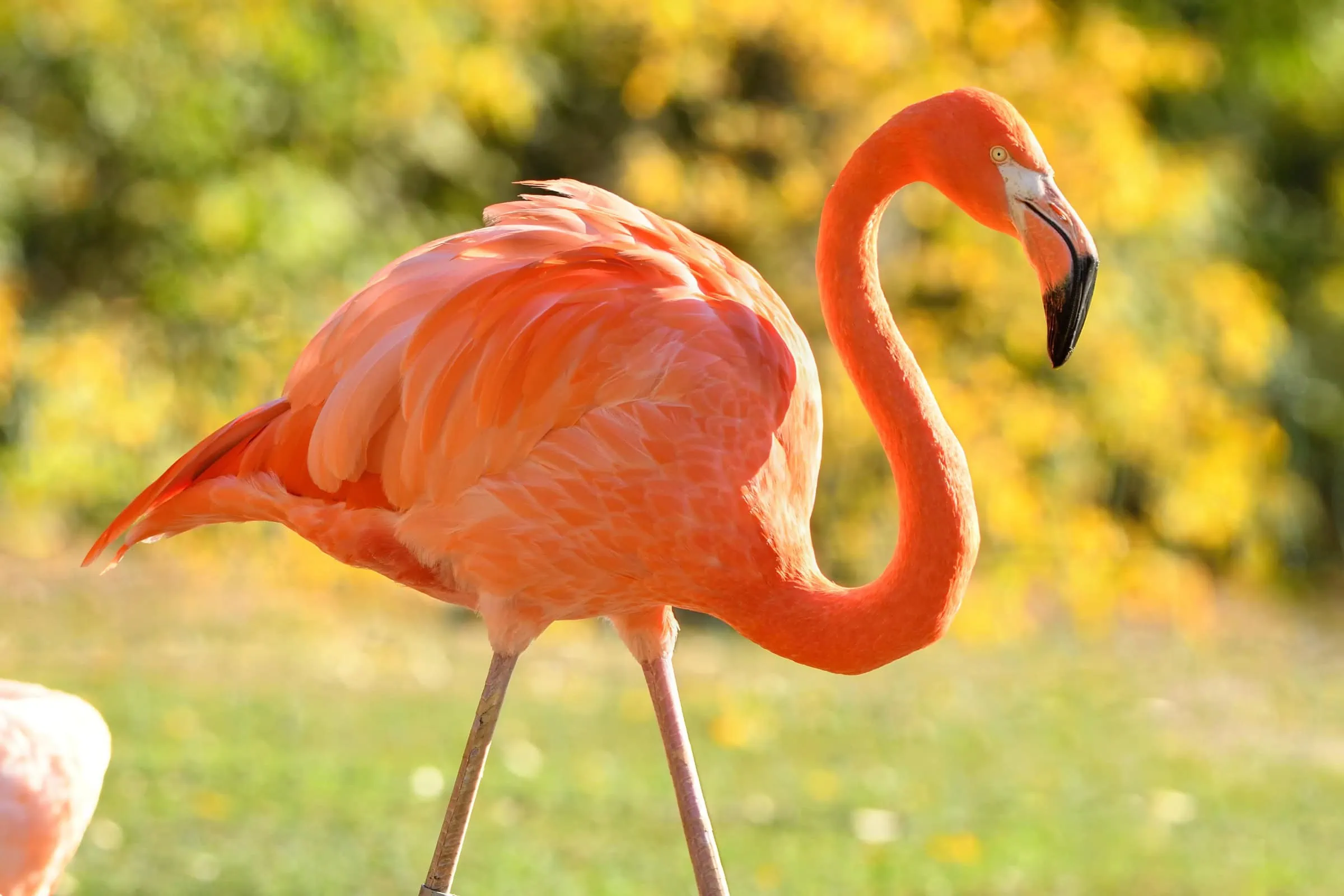 Osterführungen Durch Den Frühlingshaften Tierpark Und Zoo Berlin // Himbeer