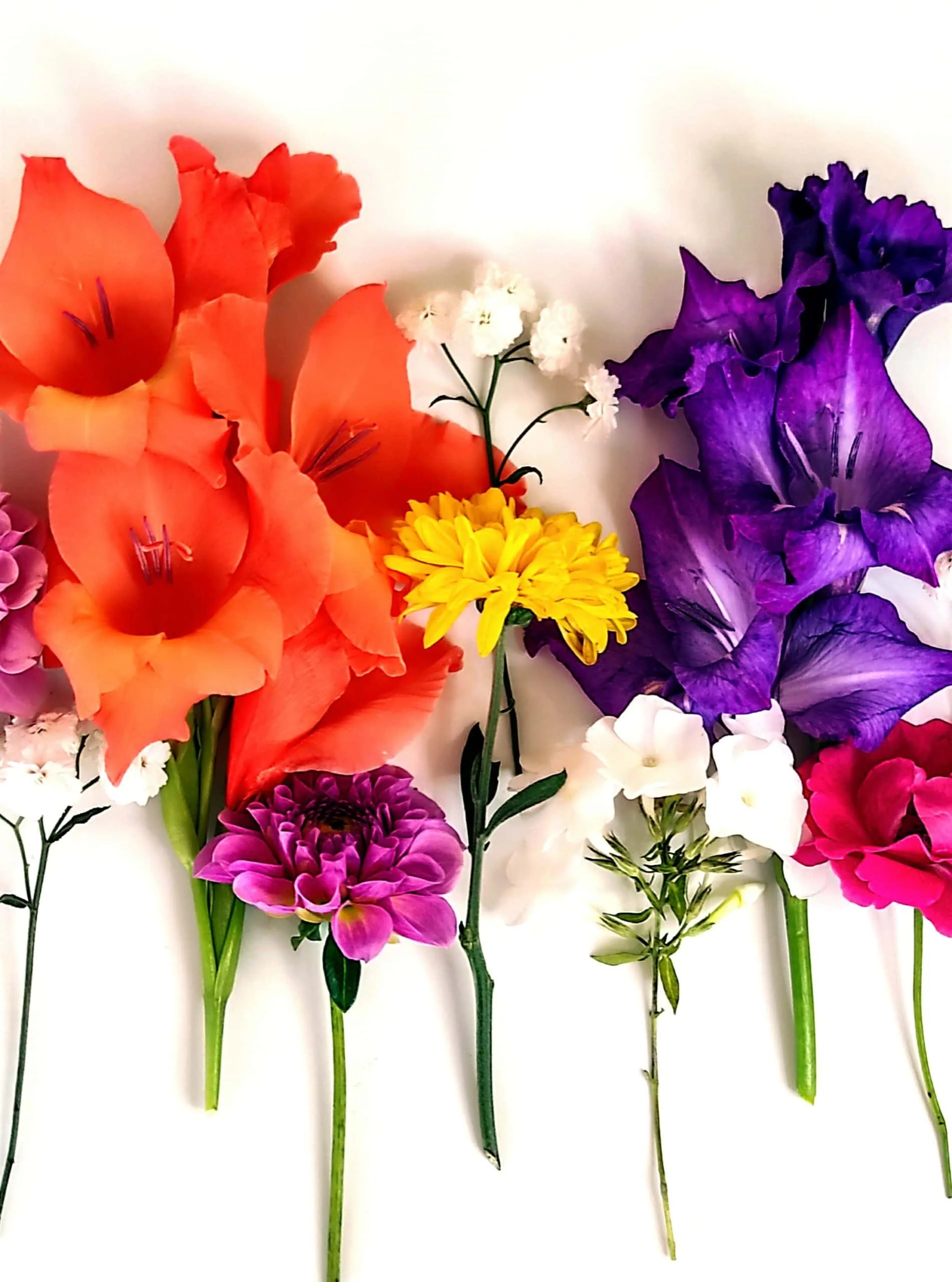 Osterferienworkshop Flower Power Im Haus Bastian, Für Familien // Himbeer