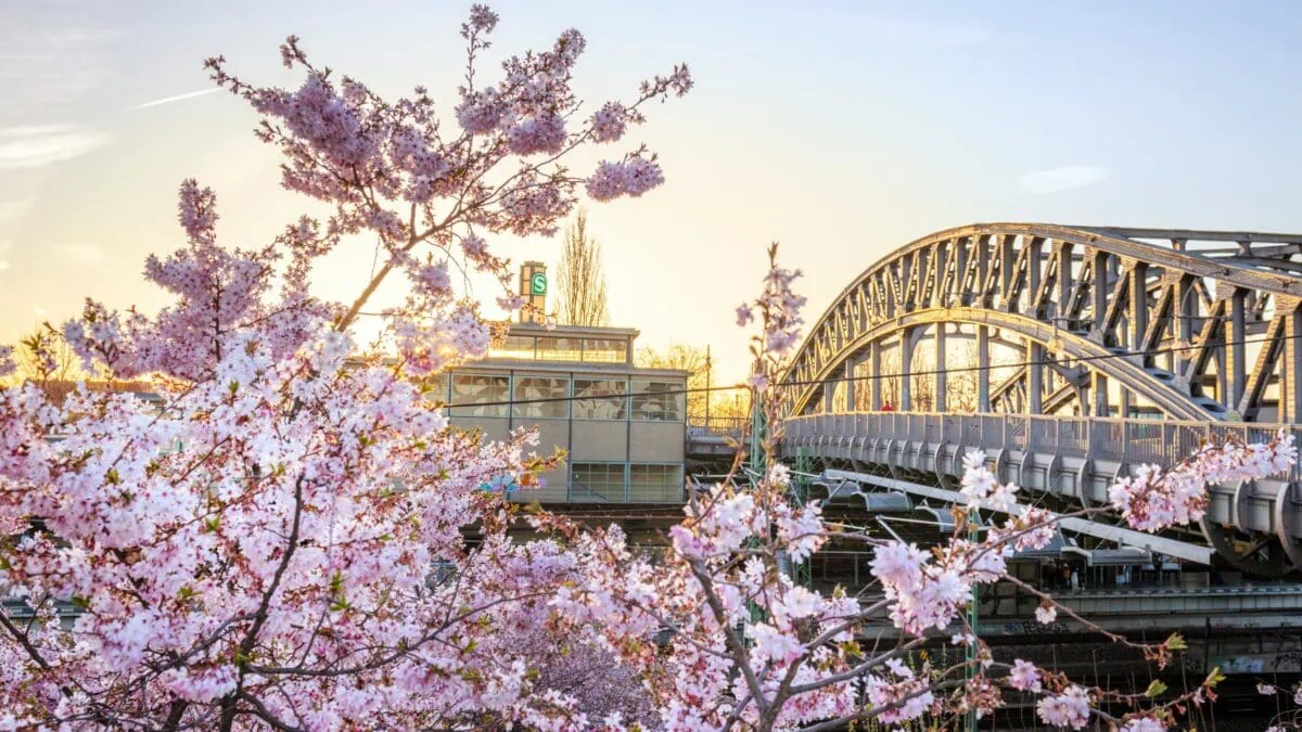 Highlights Im April In Berlin // Himbeer