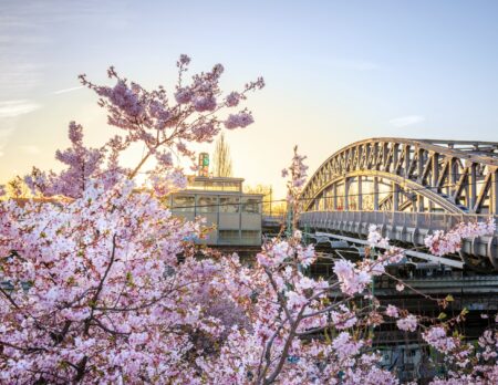 Highlights Im April In Berlin // Himbeer