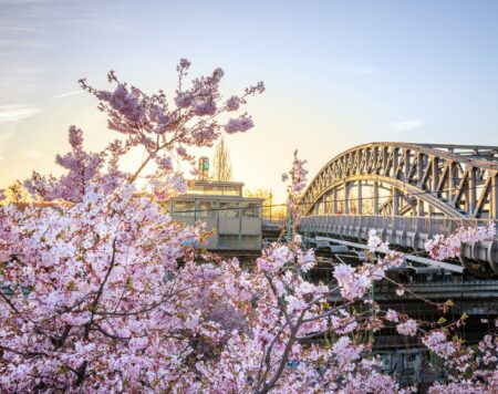 Highlights Im April In Berlin // Himbeer