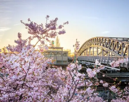 Highlights Im April In Berlin // Himbeer