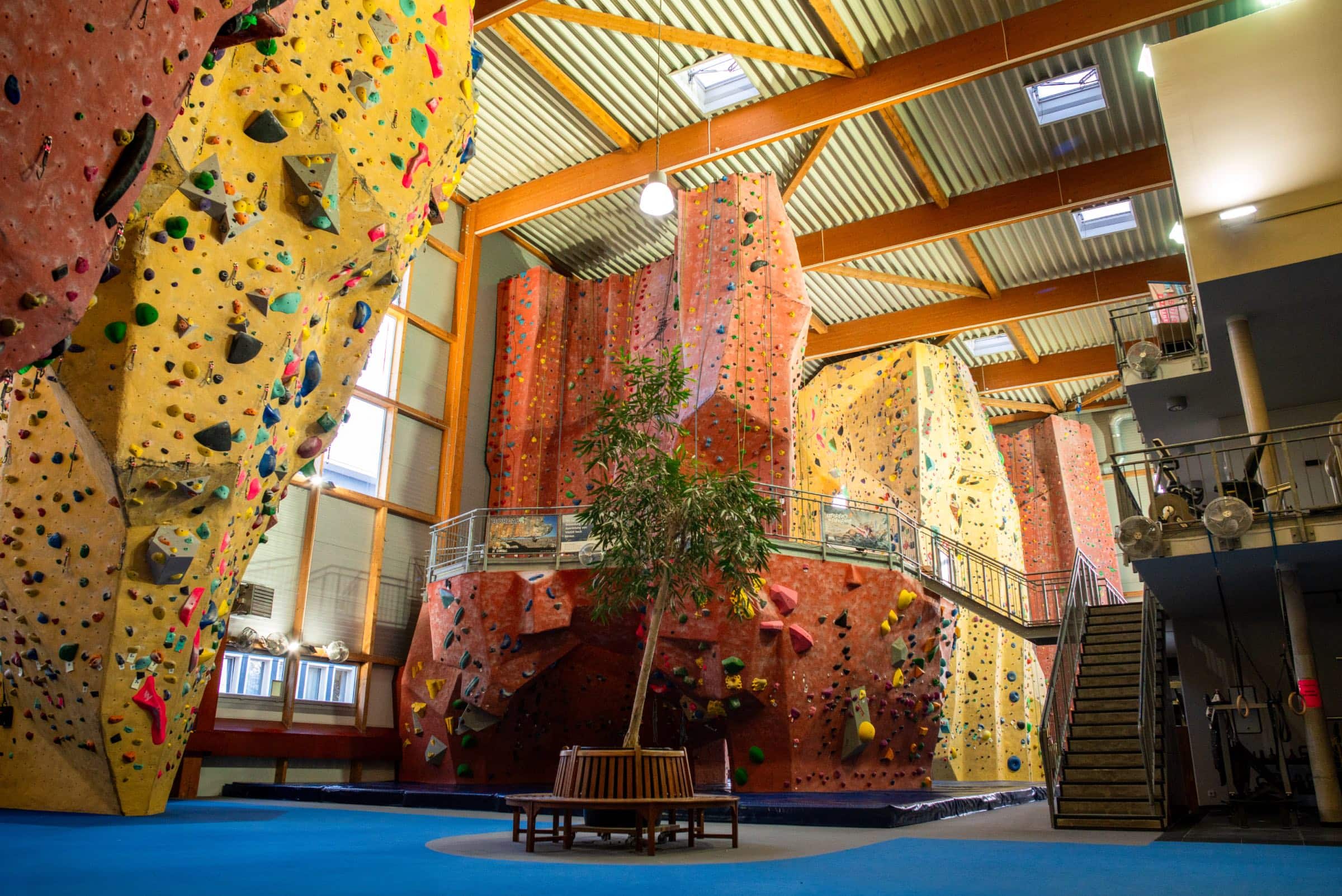 Top Anbieter:innen Für Aktive Ferienkurse In Berlin: Magic Mountain Kletterhalle // Himbeer 