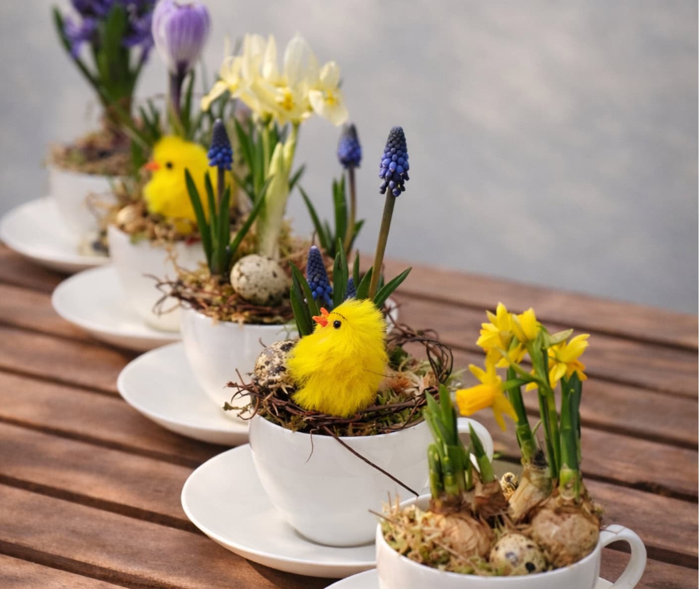 Gartenset Für Kinder Und 50 Euro-Gutschein Für Der Holländer Pflanzencenter Oster-Gewinnspiel // Himbeer