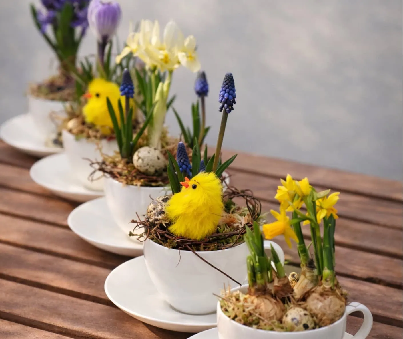 Gartenset Für Kinder Und 50 Euro-Gutschein Für Der Holländer Pflanzencenter Oster-Gewinnspiel // Himbeer