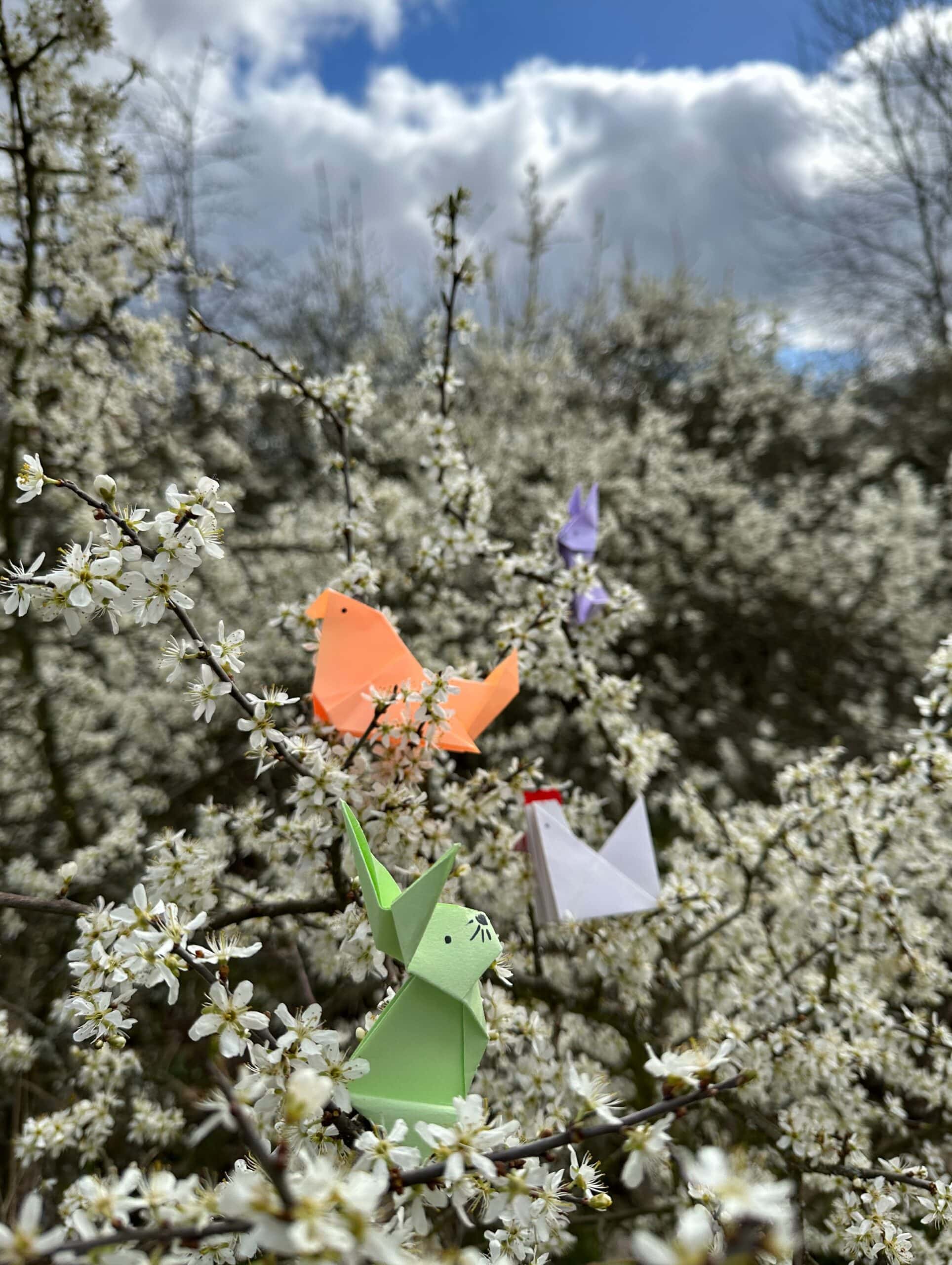 Ostern Für Die Ganze Familie, Heinz Sielmann Natur-Erlebniszentrum // Himbeer