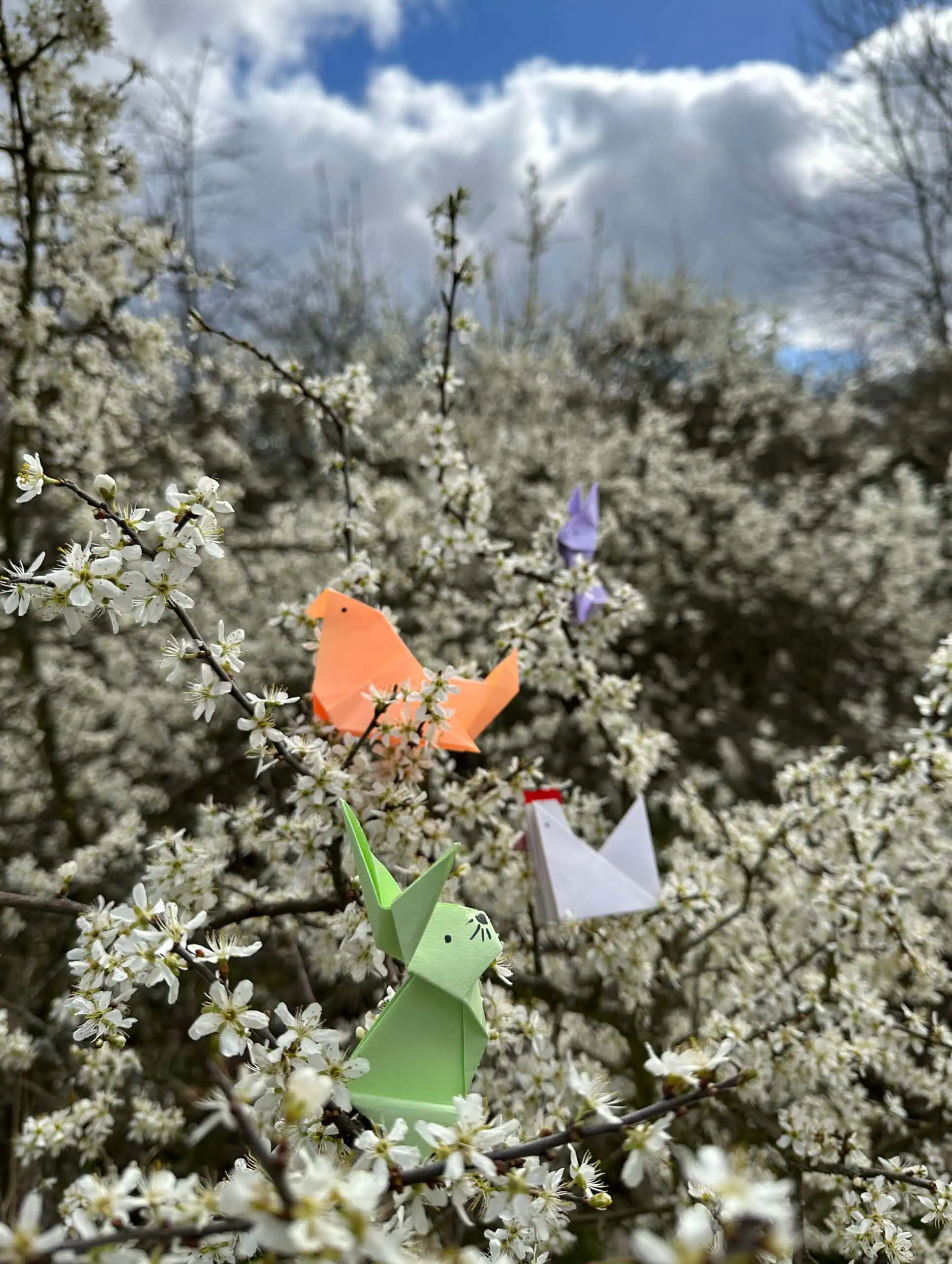 Ostern Für Die Ganze Familie, Heinz Sielmann Natur-Erlebniszentrum // Himbeer