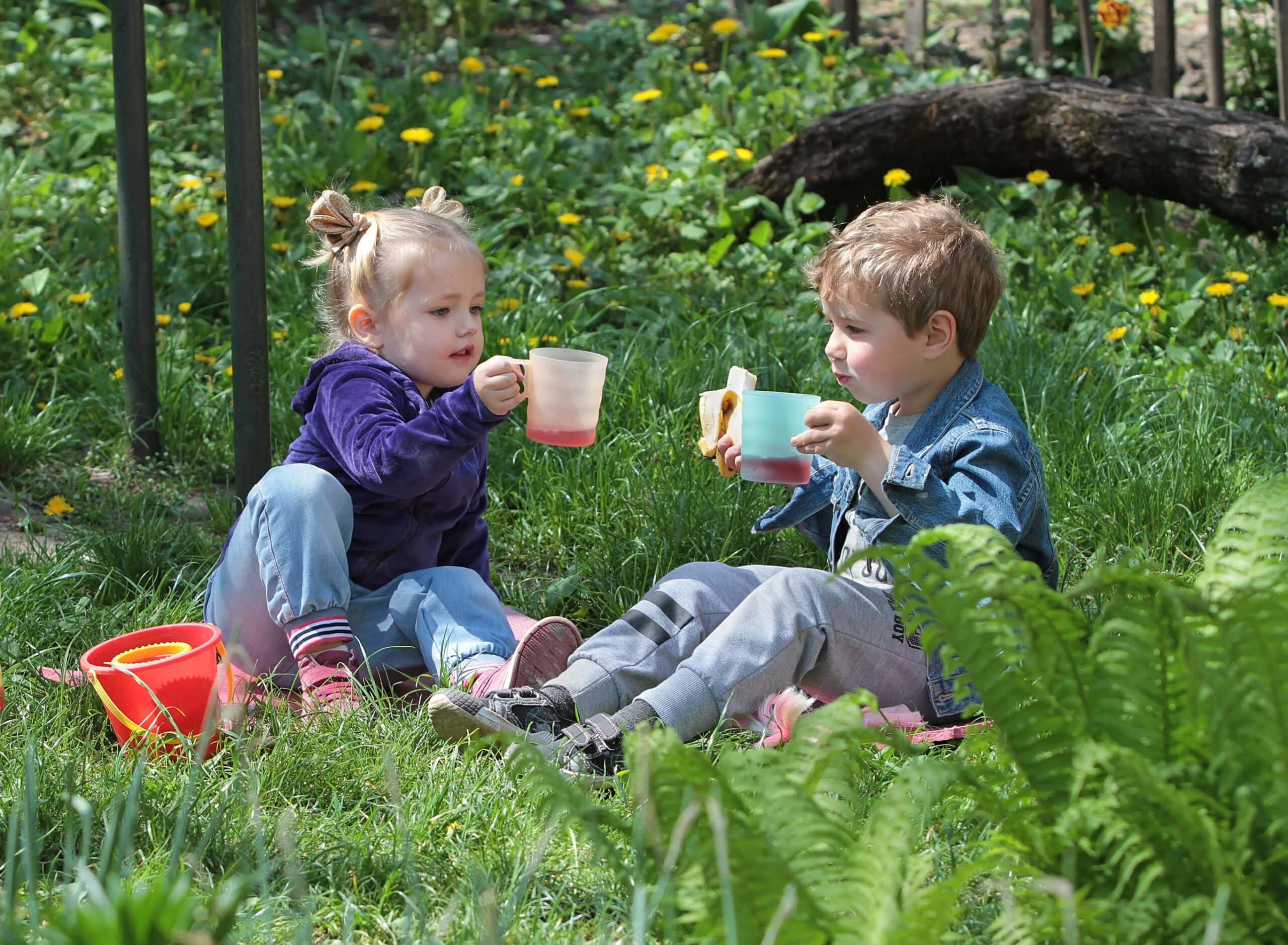 Picknick Am Geburtstag Im Grünen // Himbeer