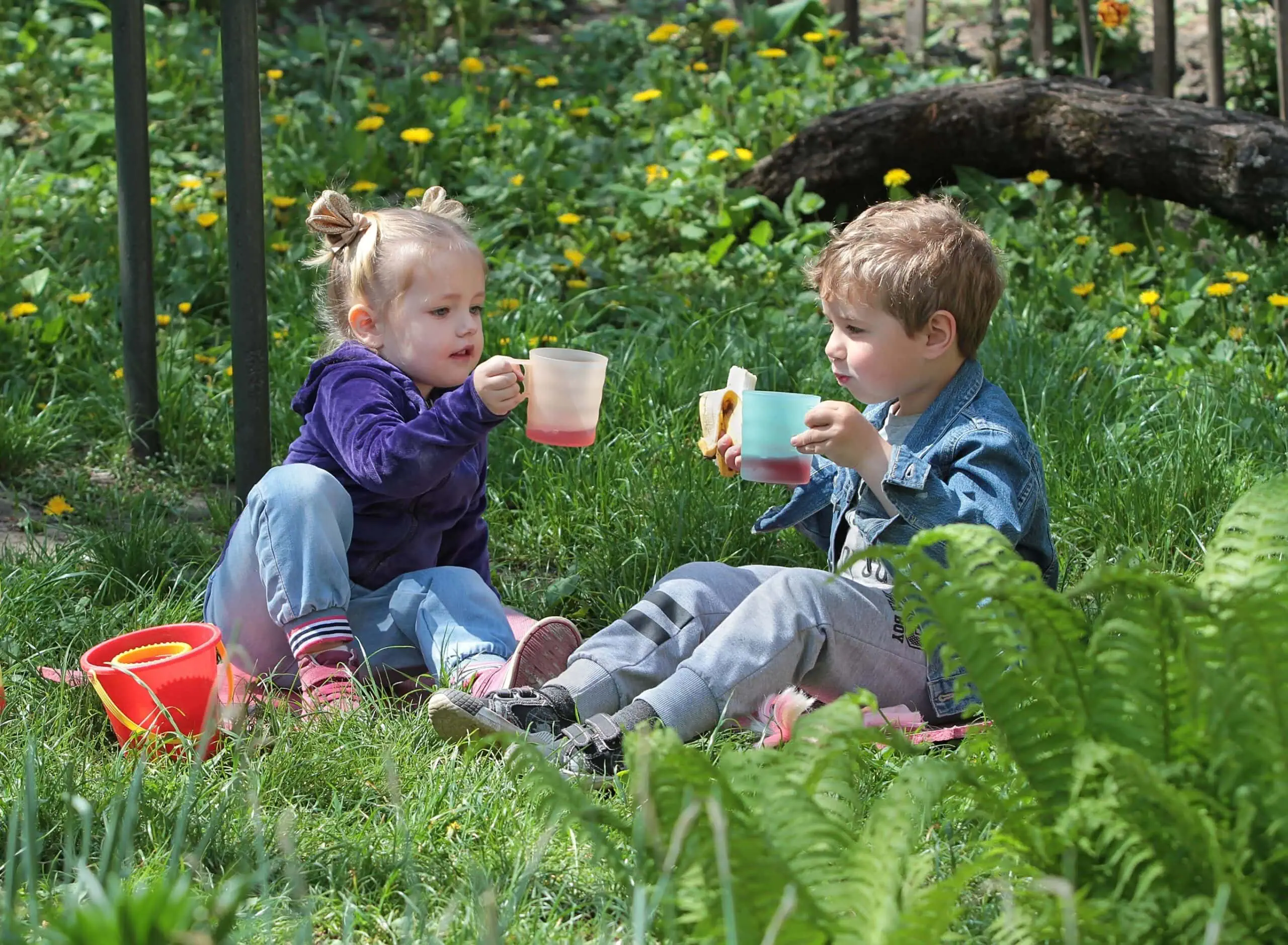 Picknick Am Geburtstag Im Grünen // Himbeer
