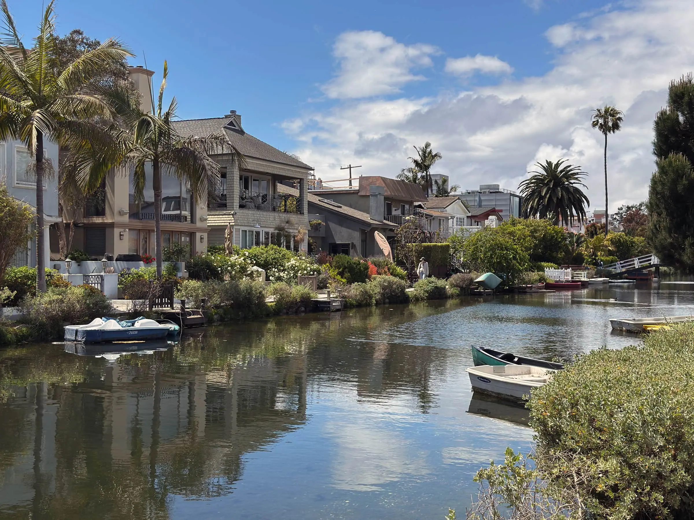 Idylle In Venice Beach // Himbeer