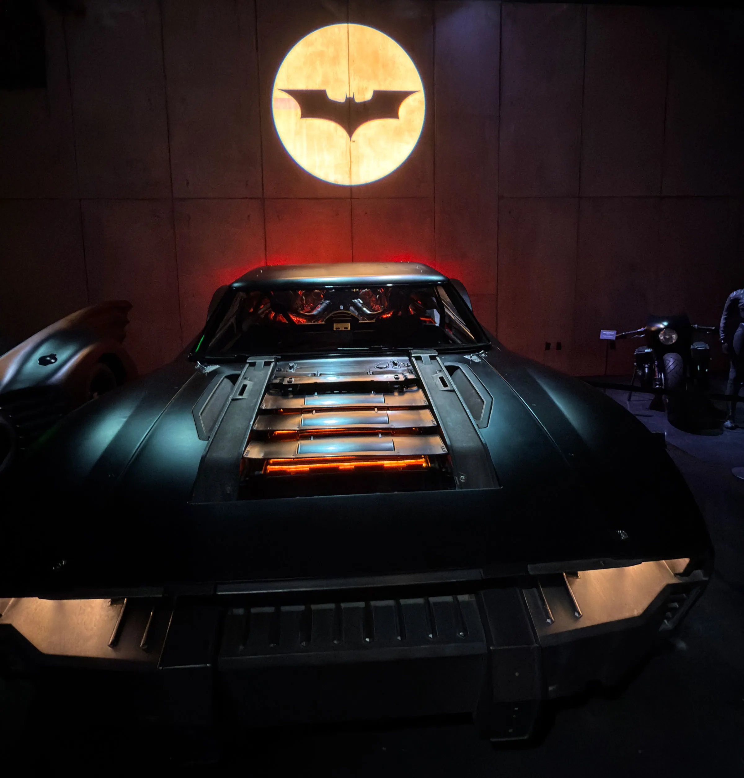 Warner Bros. Studio // Himbeer