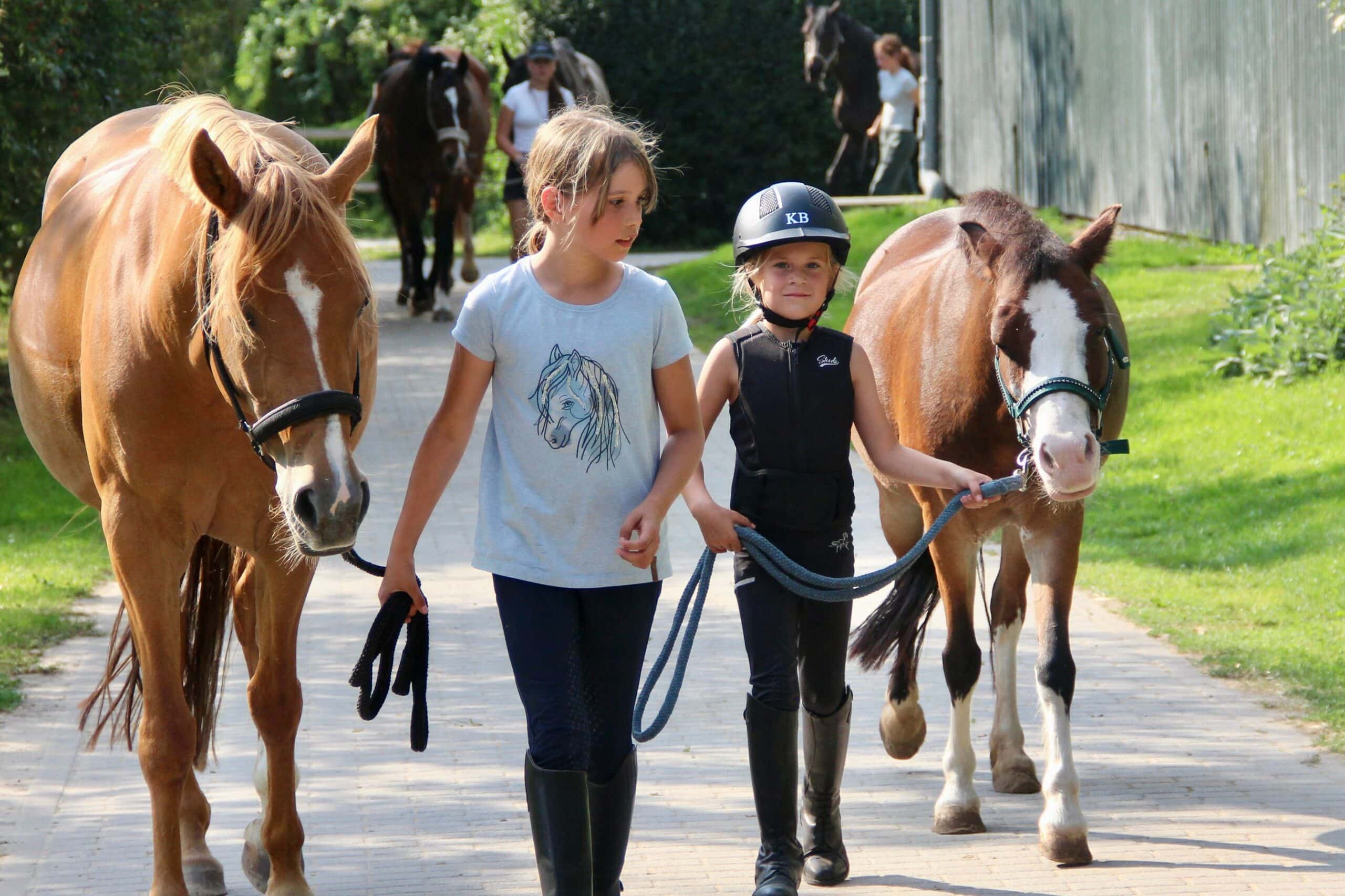 Top Anbieter:innen Für Aktive Ferienkurse In Berlin: Der Schäferhof // Himbeer