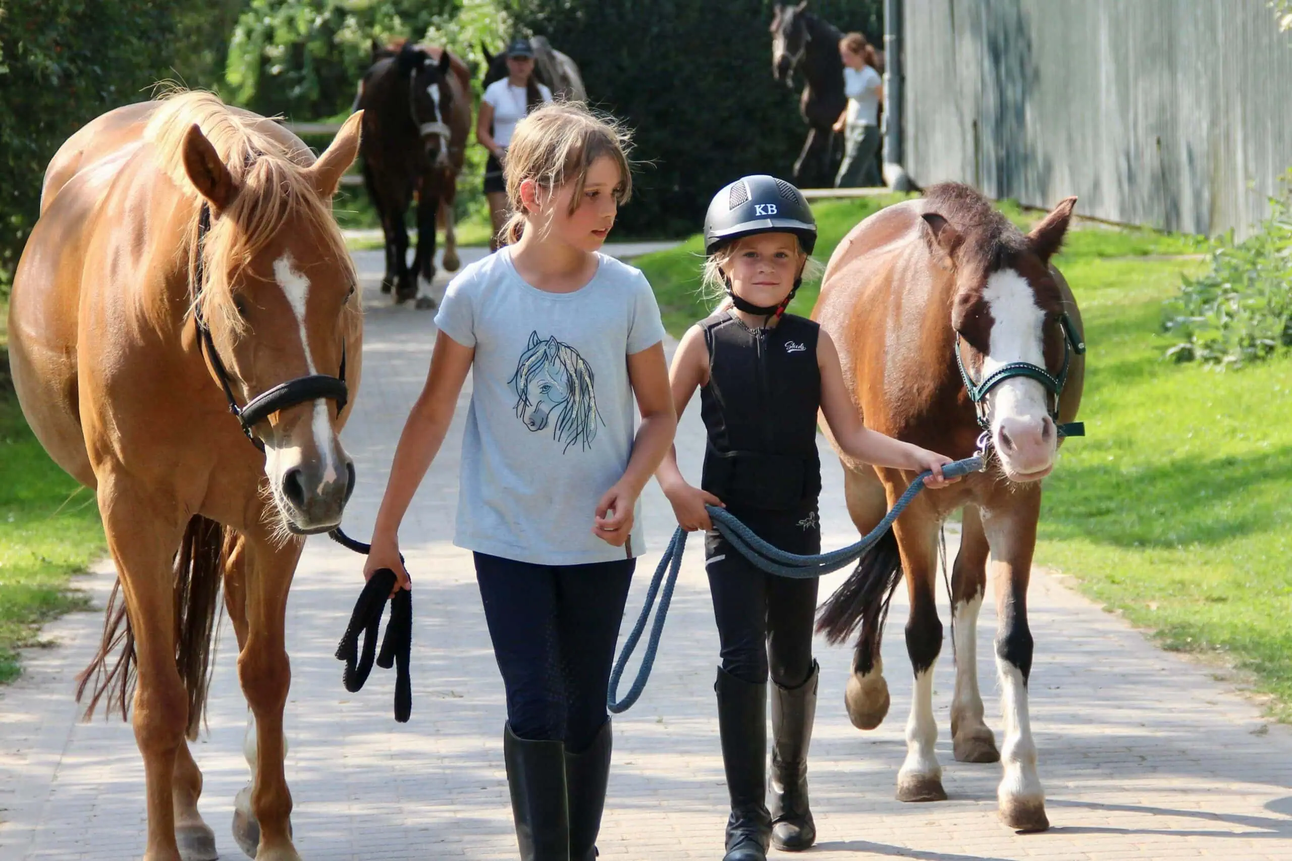 Top Anbieter:innen Für Aktive Ferienkurse In Berlin: Der Schäferhof // Himbeer