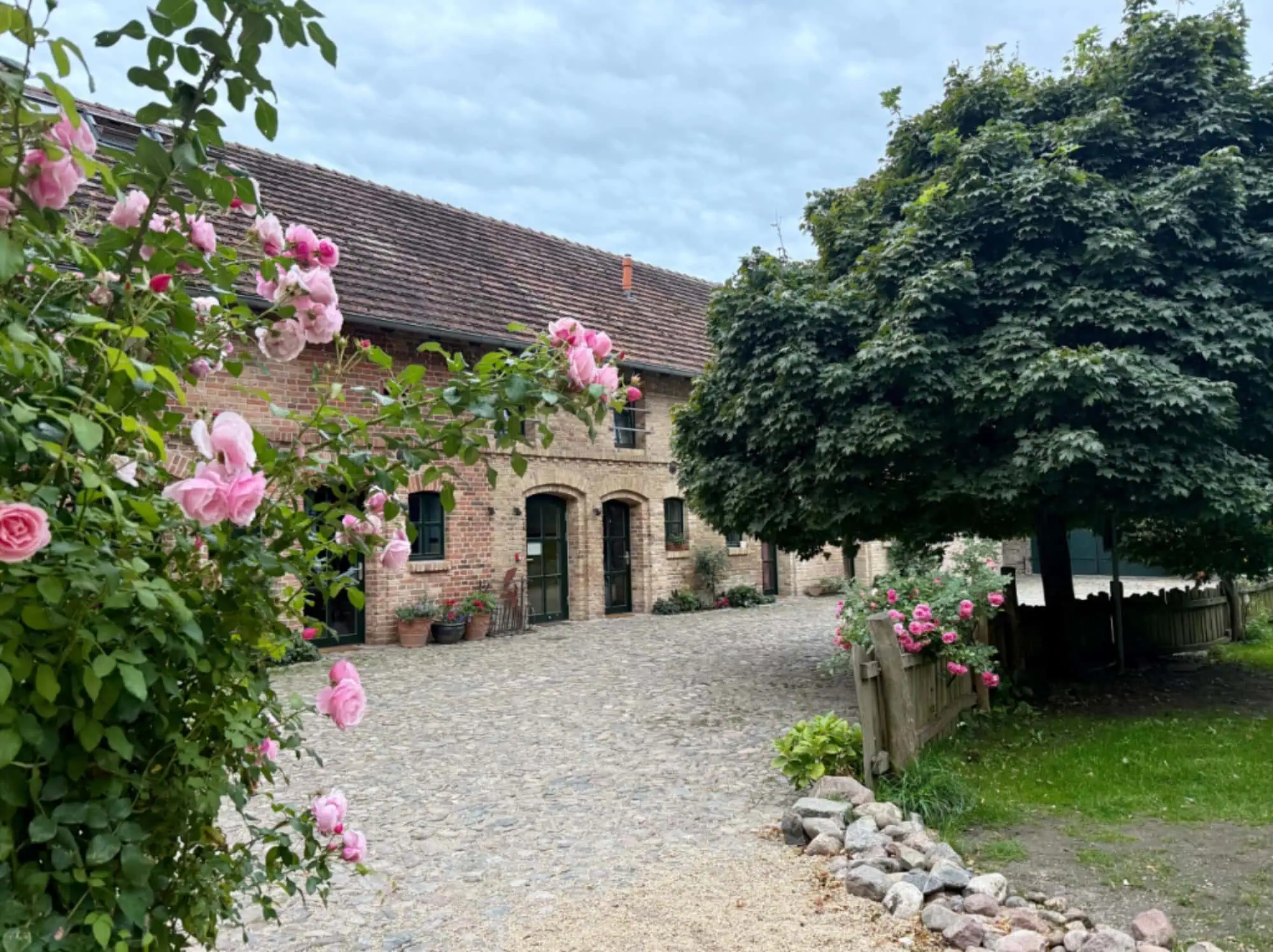 Top Anbieter:innen Für Aktive Ferienkurse In Berlin: Der Schäferhof // Himbeer