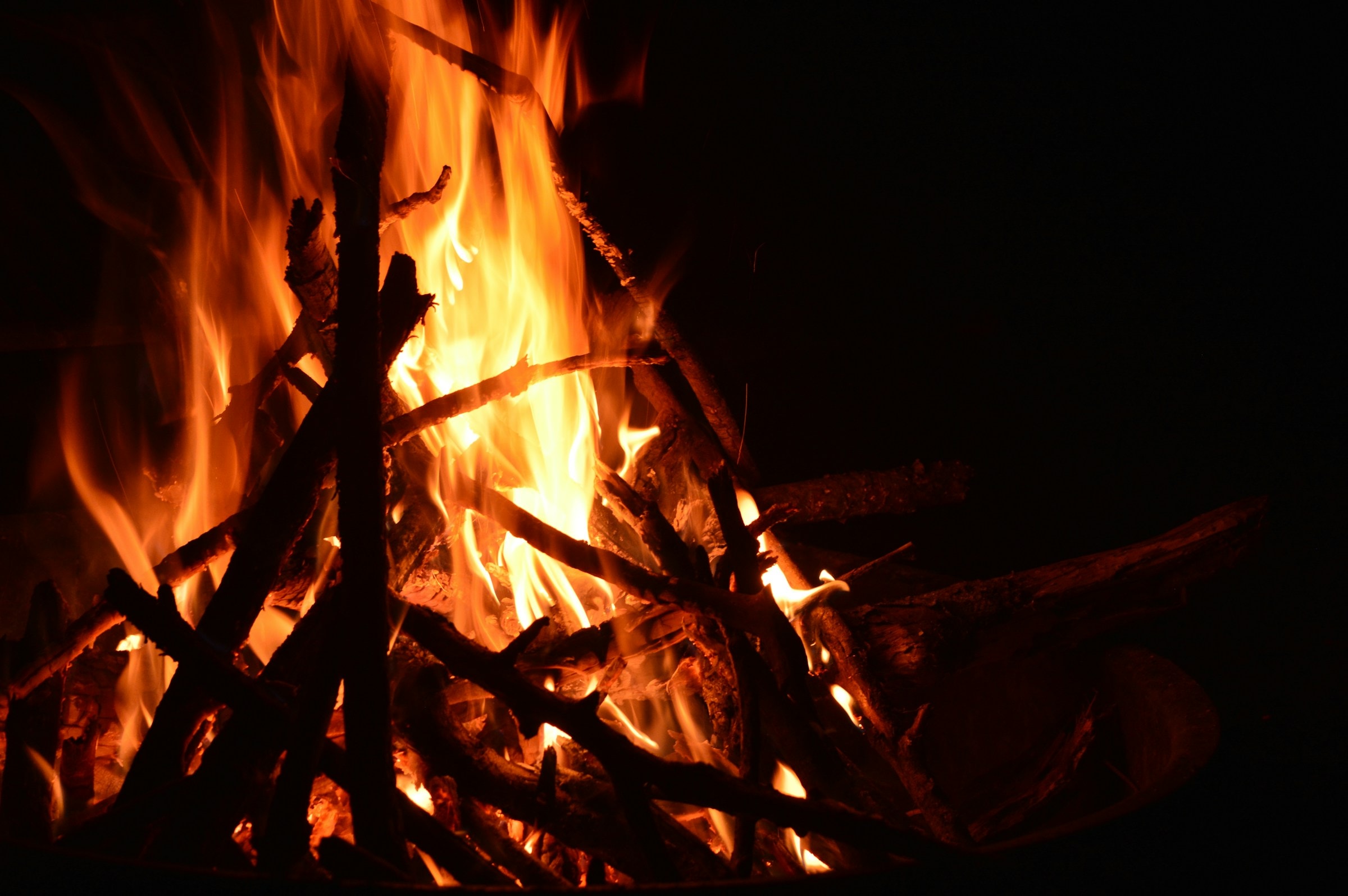 Mini-Tipps Im April: Osterfeuer Und Saisonauftakt Im Britzer Garten // Himbeer 