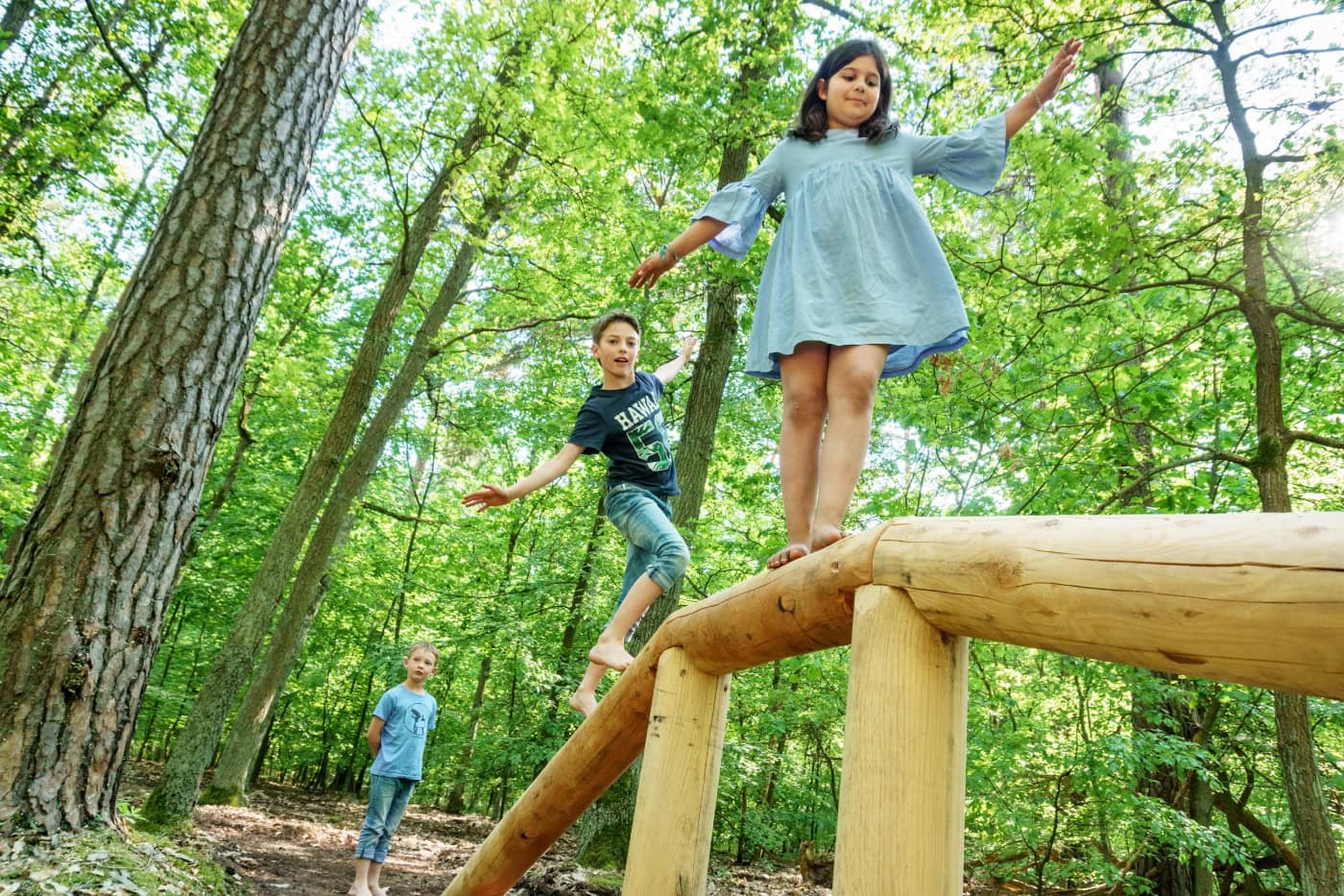 Gewinnspiel / Barfußpark Beelitz-Heilstätten: Die Top 10 Aktivitäten Für Kinder // Himbeer