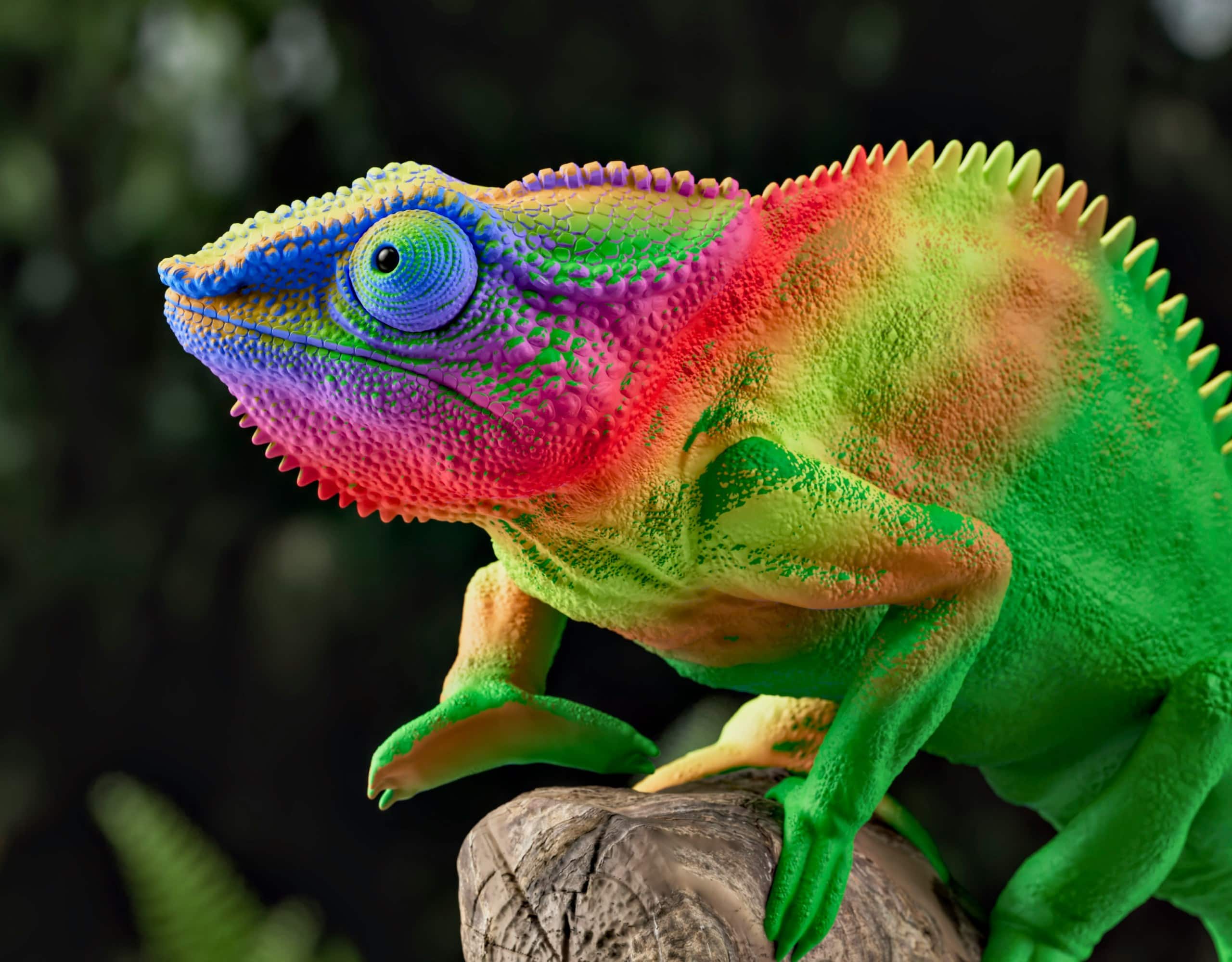 Bildungs- Und Mitmach-Initiative „Farben Sind Für Alle Da“ Zu Gendersensibler Pädagogik In Kindergarten Und Kinderzimmer: Ein Echtes Chamäleon