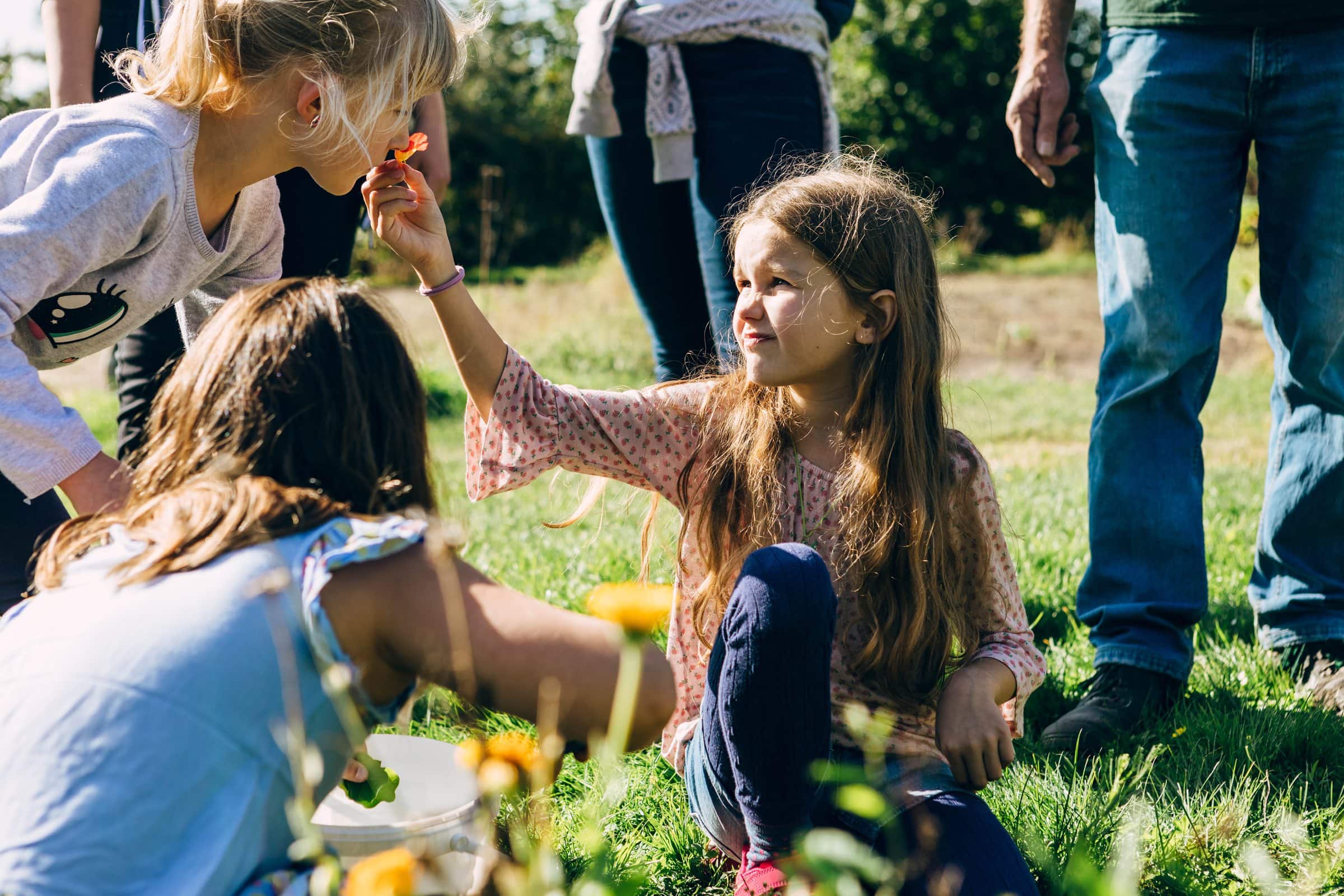 Anbieter:innen Für Ferienkurse In Der Natur: Dkb Stiftung // Himbeer