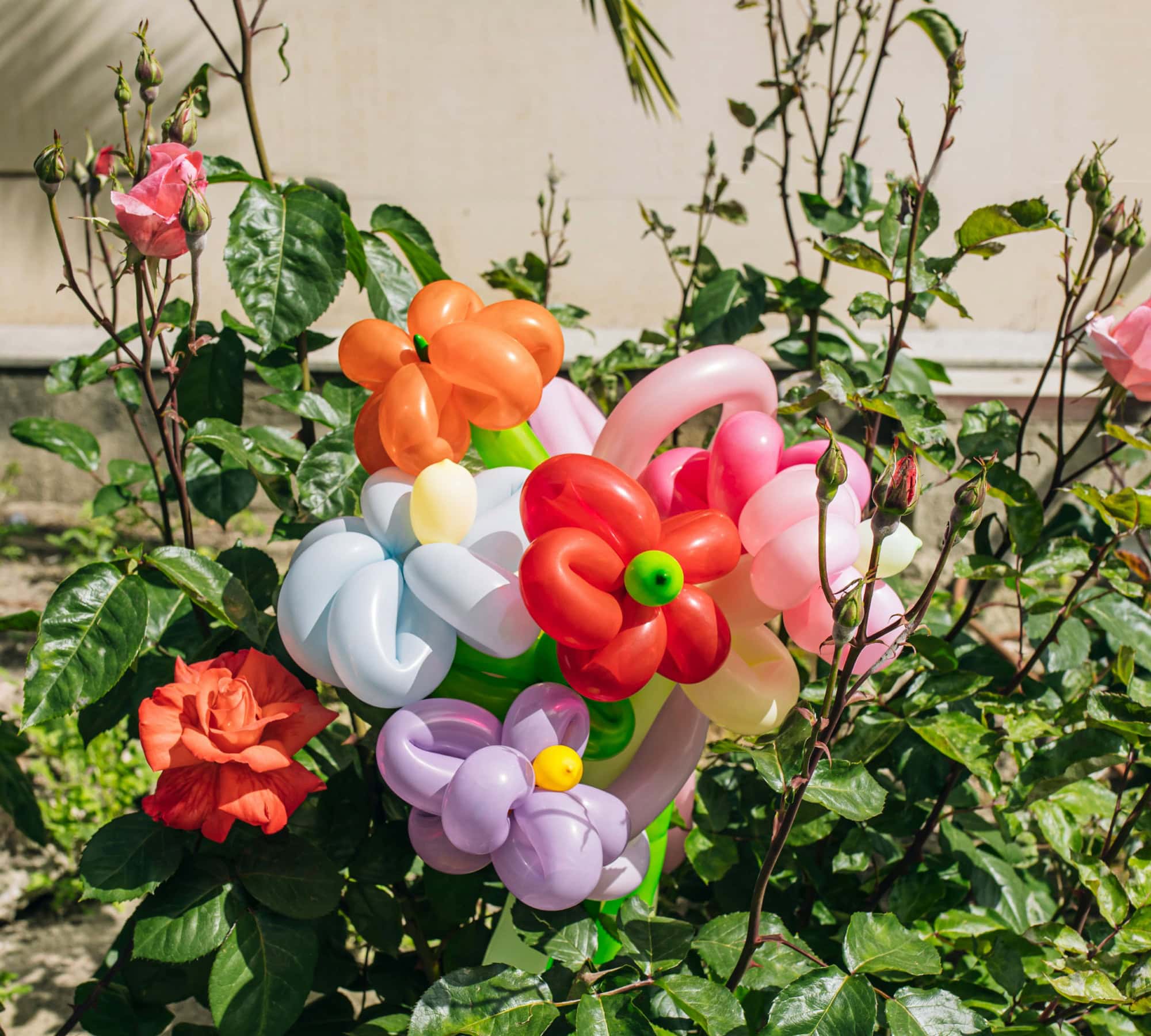 Frühlingsfest Im Figurentheater Grashüpfer // Himbeer