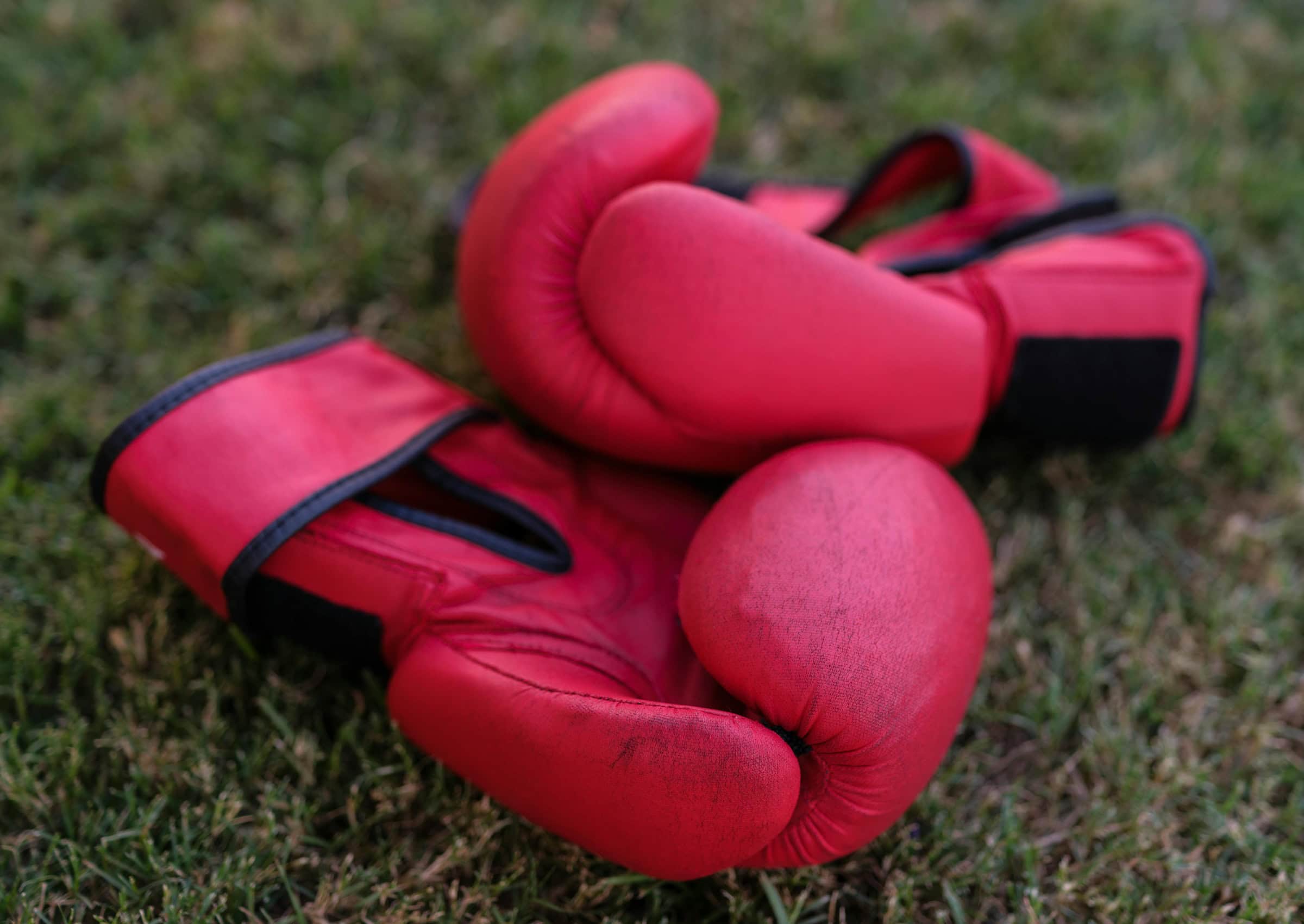 Theaterpremiere Sommer, „Das Herz Eines Boxers“ // Himbeer