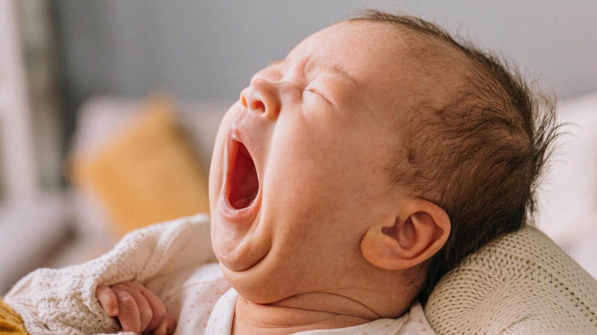 Edition HIMBEER Baby 2026/2027 – das Magazin für Schwangerschaft, Geburt, Wochenbett und Start ins Leben mit Baby in Berlin