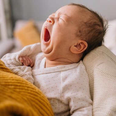 Edition Himbeer Baby 2026/2027 – Das Magazin Für Schwangerschaft, Geburt, Wochenbett Und Start Ins Leben Mit Baby In Berlin