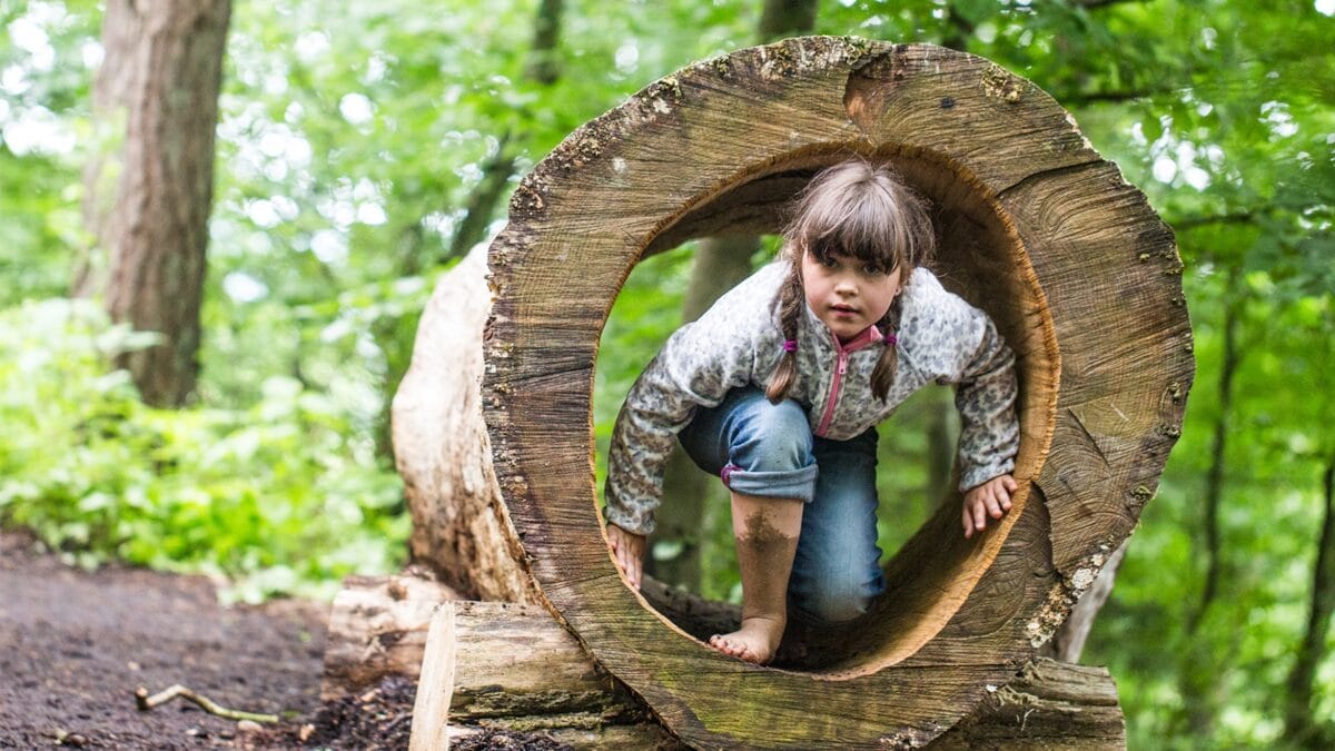 Gewinnspiel / Barfußpark Beelitz-Heilstätten: Die Top 10 Aktivitäten Für Kinder // Himbeer