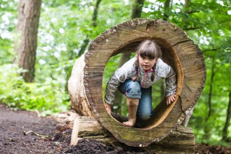 Gewinnspiel / Barfußpark Beelitz-Heilstätten: Die Top 10 Aktivitäten Für Kinder // Himbeer