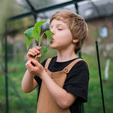 Wochenend-Tipps Mit Kindern In Berlin, Kw 17 // Himbeer